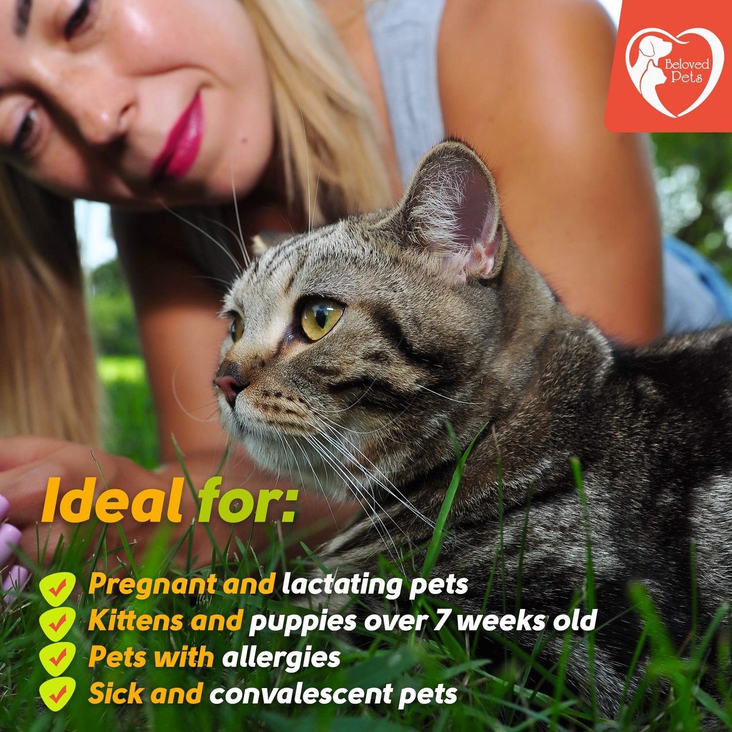 Flea and Tick Prevention for Small Dogs & Cats, Rabbits - Natural Flea Treatment & Pest Control - Topical Flea & Mosquito Repellent for Puppy and Kitten - All Pets