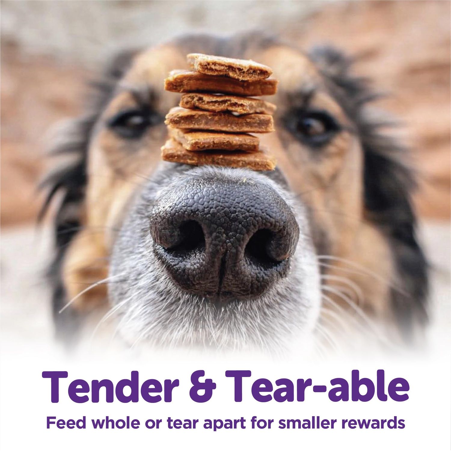 Wellness Rewarding Life Grain-Free Soft Dog Treats, Made in USA with Healthy Ingredients, Ideal for Training (Lamb & Salmon, 6-Ounce Bag)