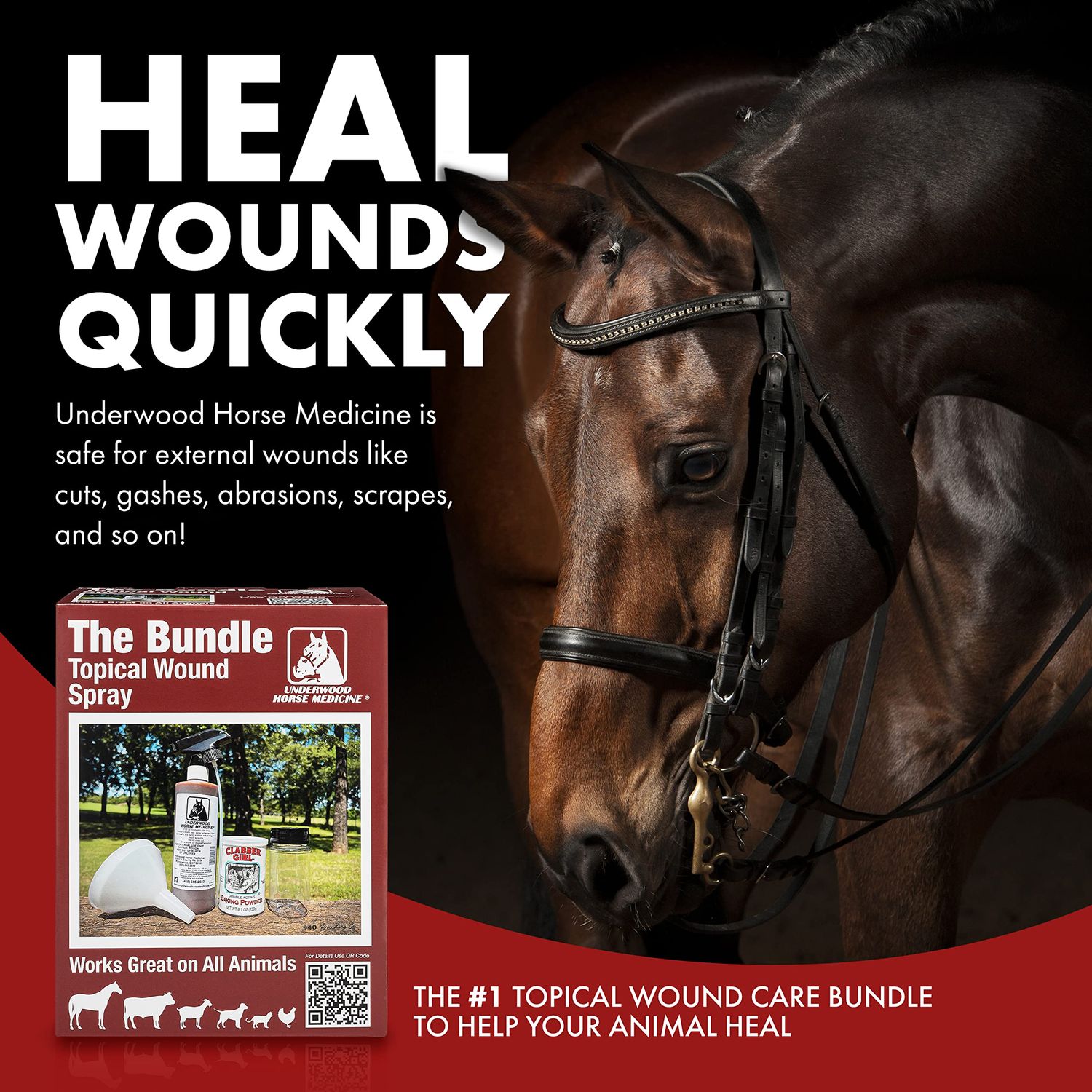 Topical Wound Spray Kit - 16 oz Refill Bottle w/Baking Powder, Funnel, Spray Trigger, & Shaker - Equine First Aid Kit Must-Have Antiseptic Spray for Wounds - Horse Wound Care for Equine & Animals