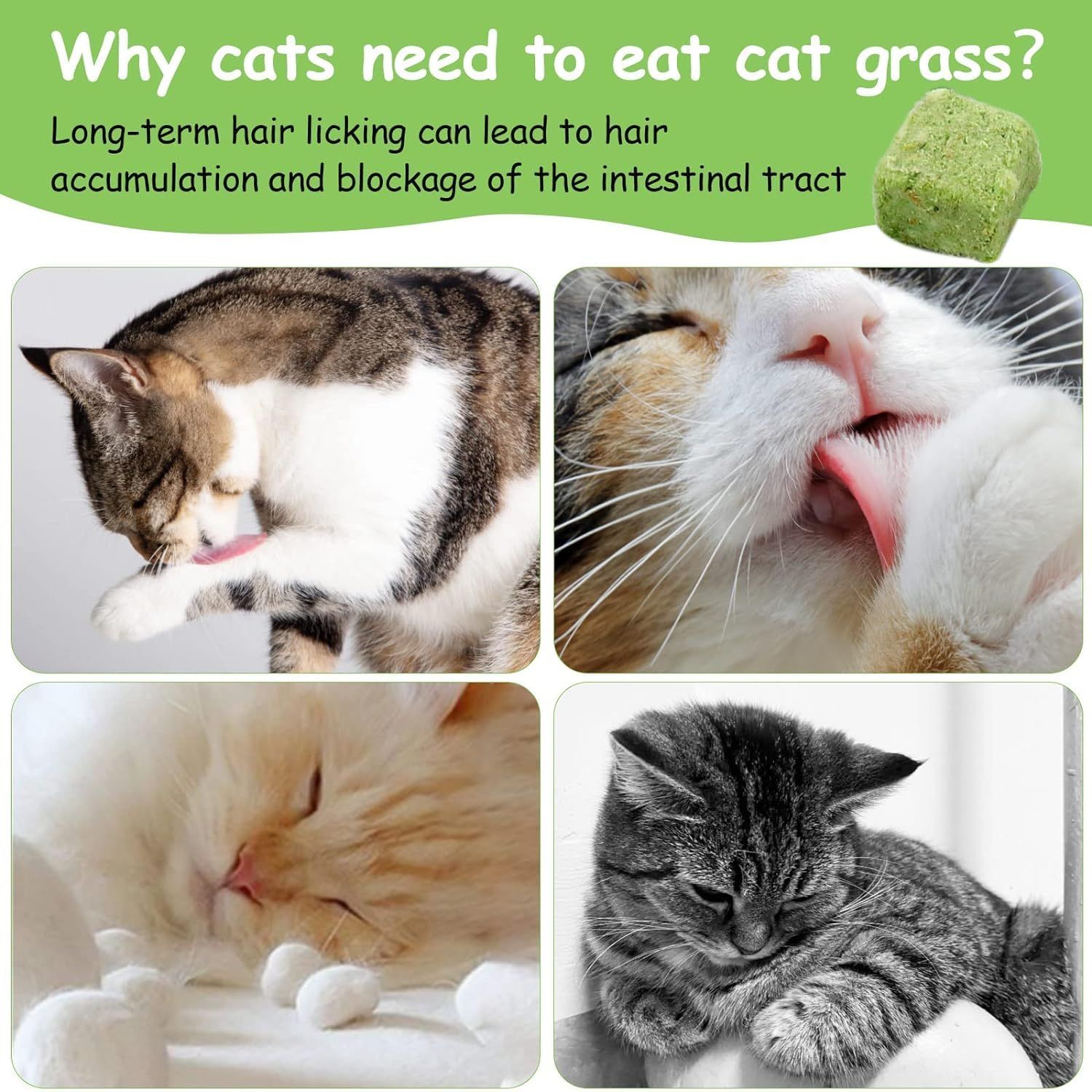 HavenJanny 60g Cat Grass Treats for Cat, Freezed Drying Cat Grass Teething Stick Snacks for Cats, Edible Cat Chew Toys for Teeth Cleaning and Hairball Removal
