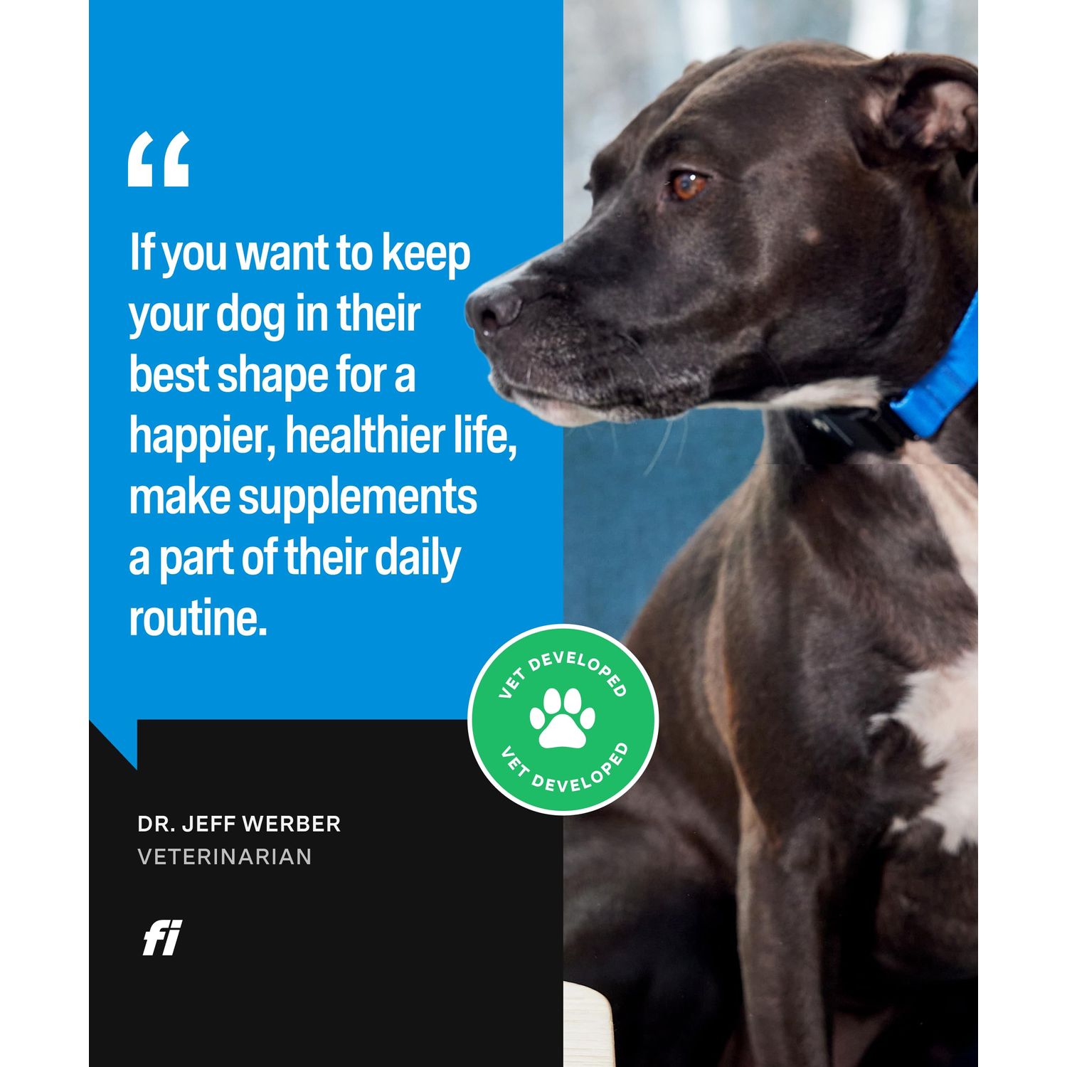 Fi Dog Supplements - Skin & Coat Powder Food Topper | Supports Healthy Skin & Shiny Fur | Omega-3 Fish Oil, Biotin & Zinc | Vet-Formulated Coat Defense Powder for Dogs | 90 Scoops