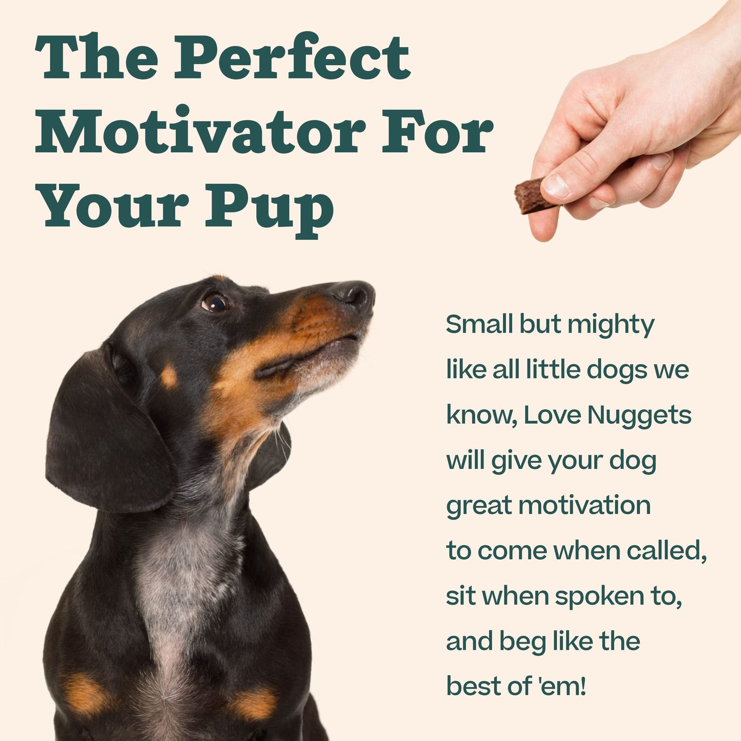 WOOF Love Nuggets, Made in The USA Dog Treats for Training, Jerky for Dogs, Bite-Sized Beef Training Treats
