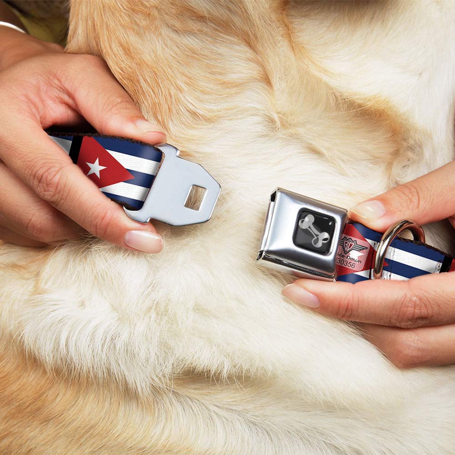 Buckle-Down Cuba Flags Dog Collar Bone, Wide Medium/16-23"