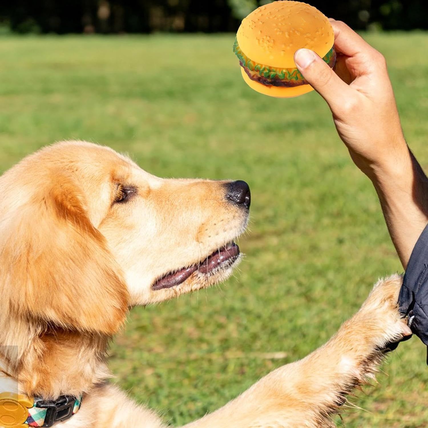 Galepromot 2 Pcs Bite-Resistant Dog Toys Squeaky Chewing Toys Tooth Cleaning Dog Supplies, Golden Retriever Teddy Pets, etc, Dog Training, Sofa Damage Prevention, Hamburger Pet Toys, Dog Squeak Toys