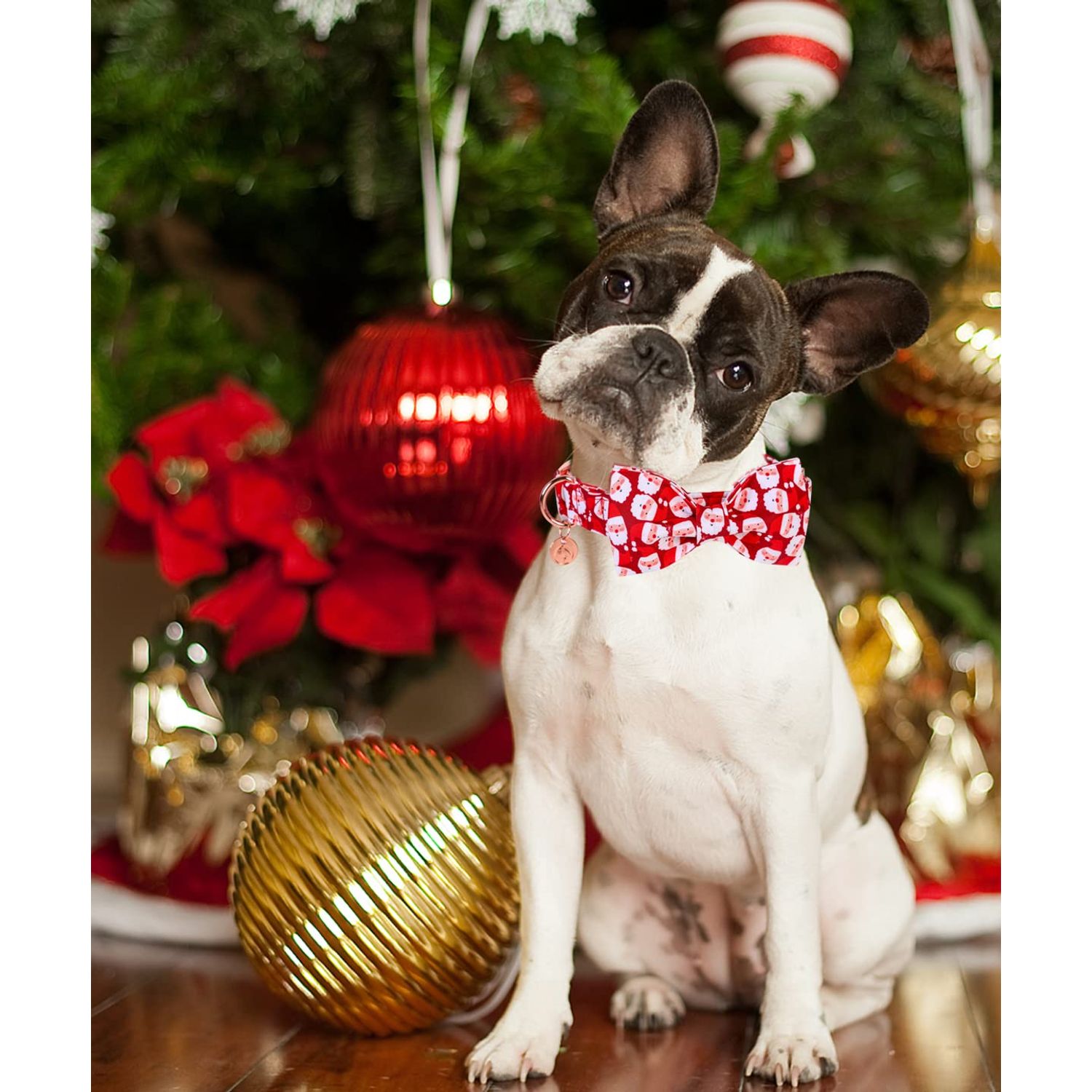 DOGWONG Christmas Dog Collar with Bow tie, Red Santa Claus Dog Collar Soft Durable Adjustable Cotton Puppy Collar for Small Medium Large Dog