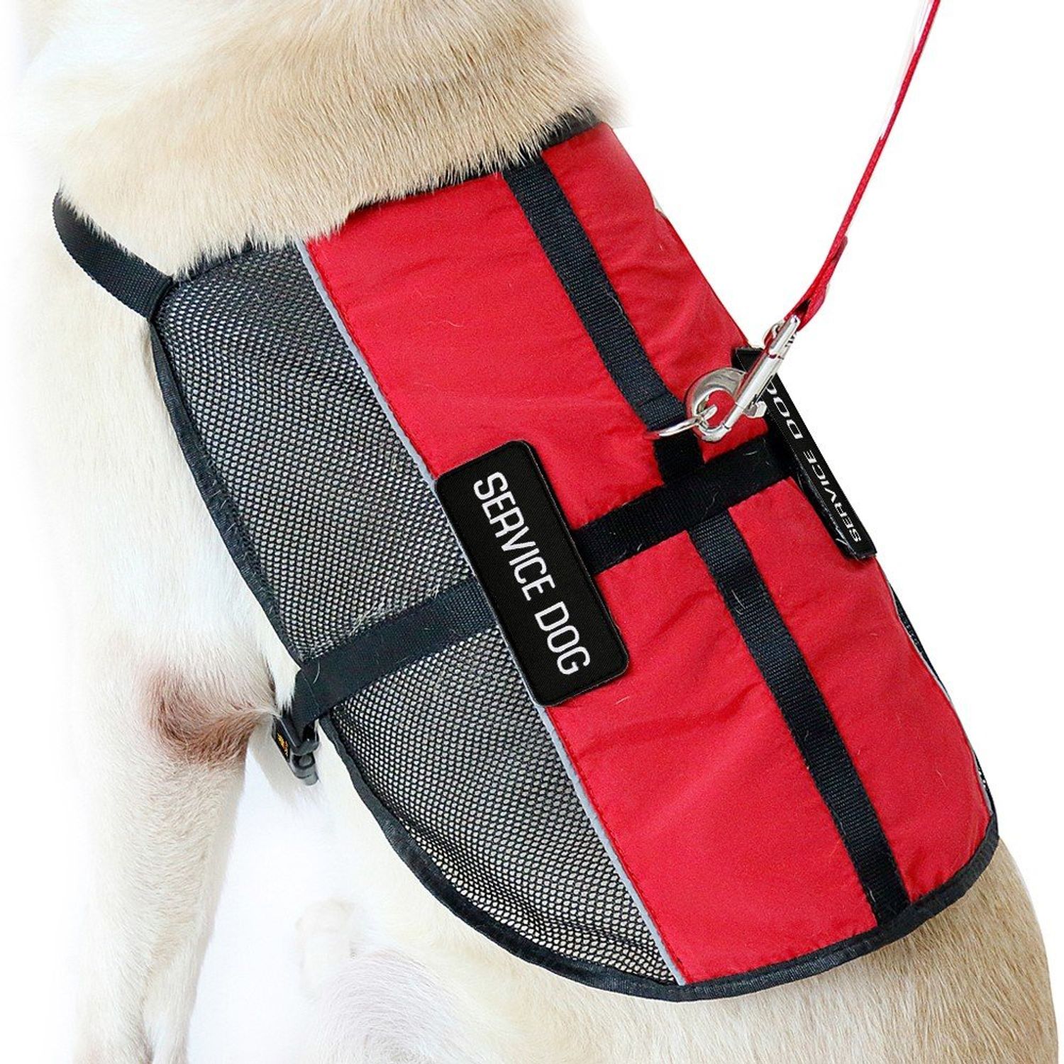 PLUTUS PET Service Dog Vest with 2 Removable Patches, Light Weight and Breathable Mesh Service Animal Harness,Perfect for Summer and Hot Days,Red,S,Girth 18.7-22.8"