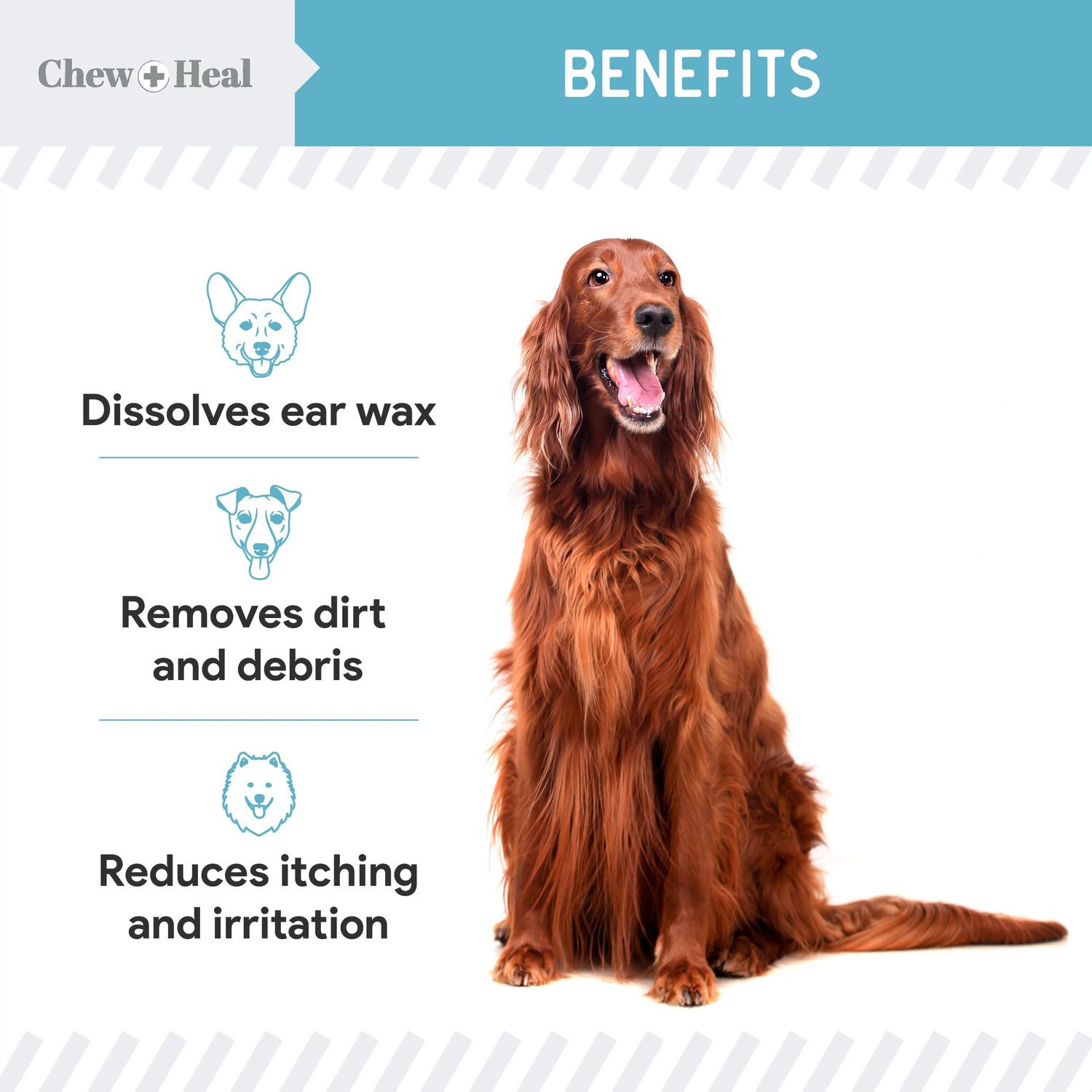 Chew + Heal Dog Ear Cleaner Solution - 4 oz Droppers (2 Pack) - Pet Ear Wash Drops for Preventing Infection and Removing Debris - Soothing Aloe, Witch Hazel, and Tea Tree Oil