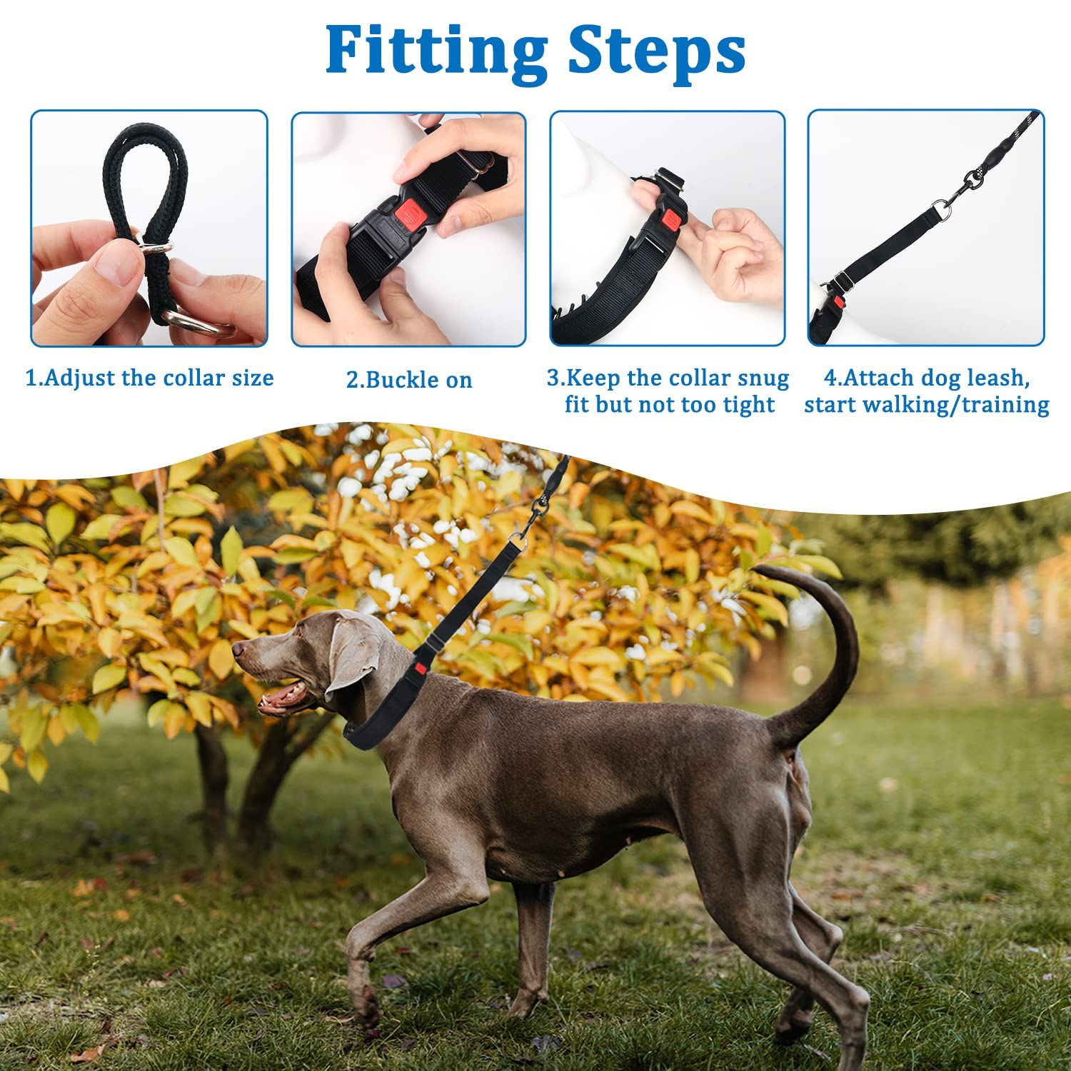 Martingale Collar for Dogs, No Pull Dog Collar for Small Medium Large Dogs, Dog Walking Collar for Pulling, Anti Pull Dog Martingale Training Collars with Buckle (L, Black)