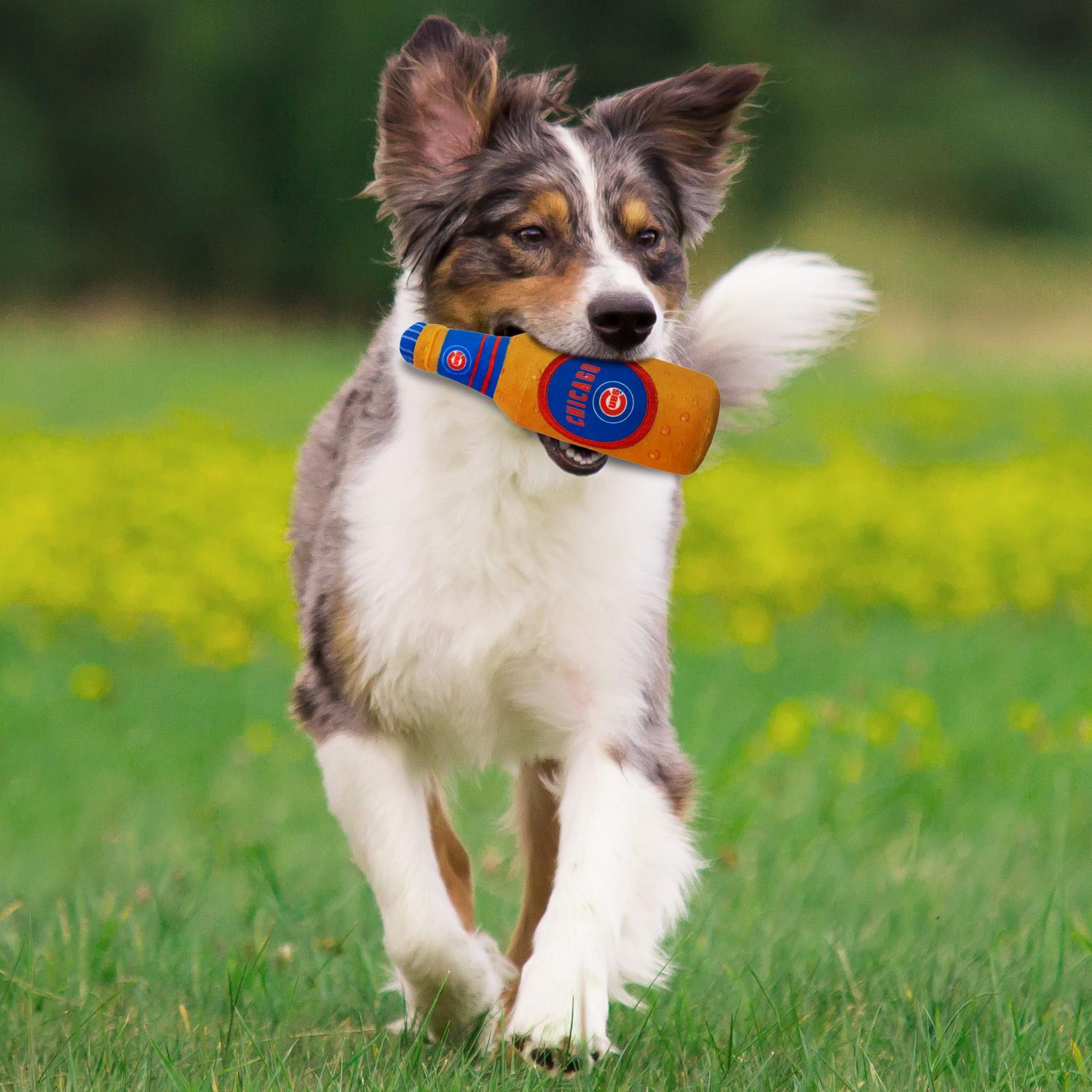 Pets First MLB Chicago Cubs Stadium Beer Bottle Plush Dog Toy-Cutest Plush Toy for Dogs & Cats with Inner Squeaker & Premium Embroidery of Baseball Team Name & Logo