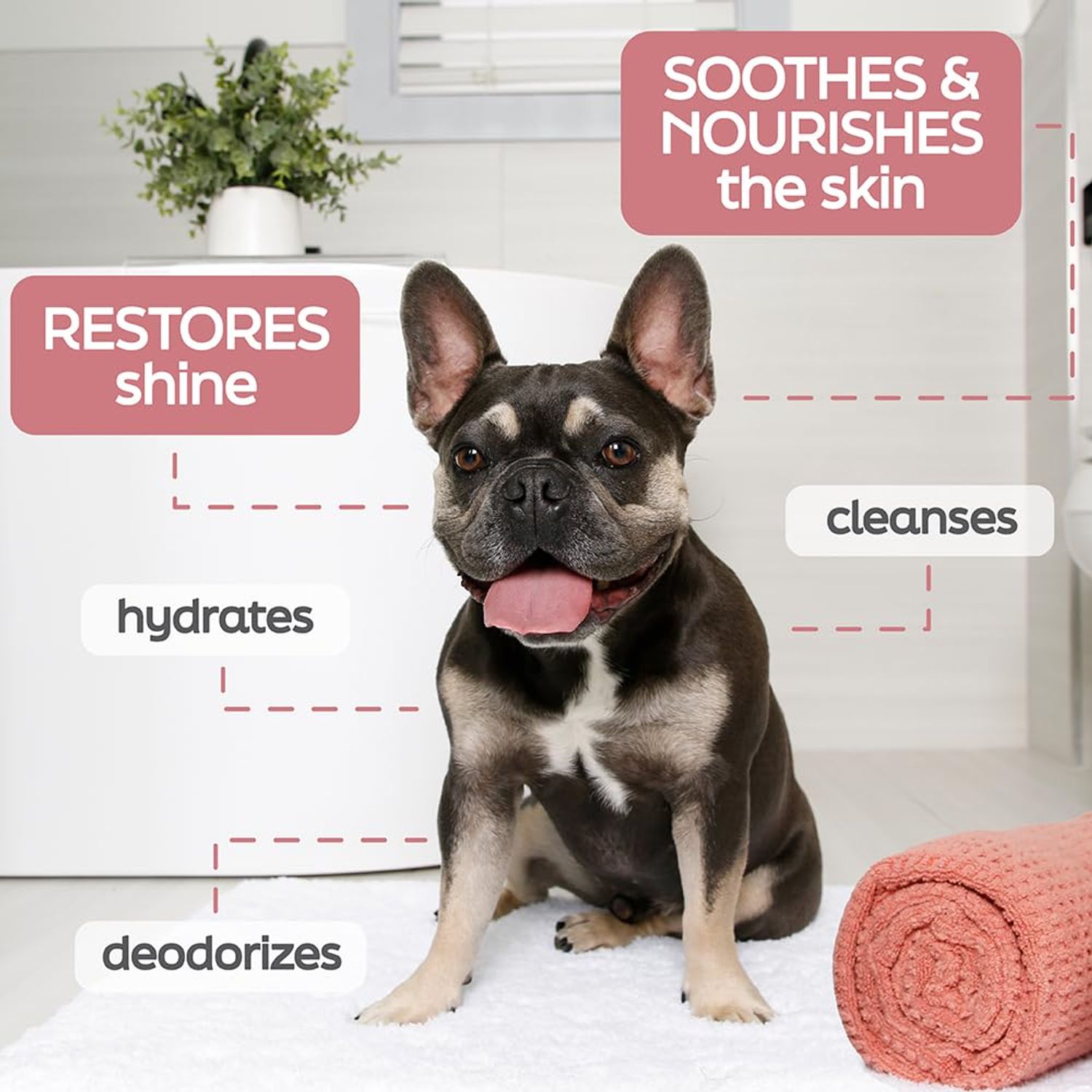 New! Hartz True Coat Short & Smooth Coat Specific Dog Shampoo, Soothes & Shines with Oat Milk, Coconut Oil & Vitamin E