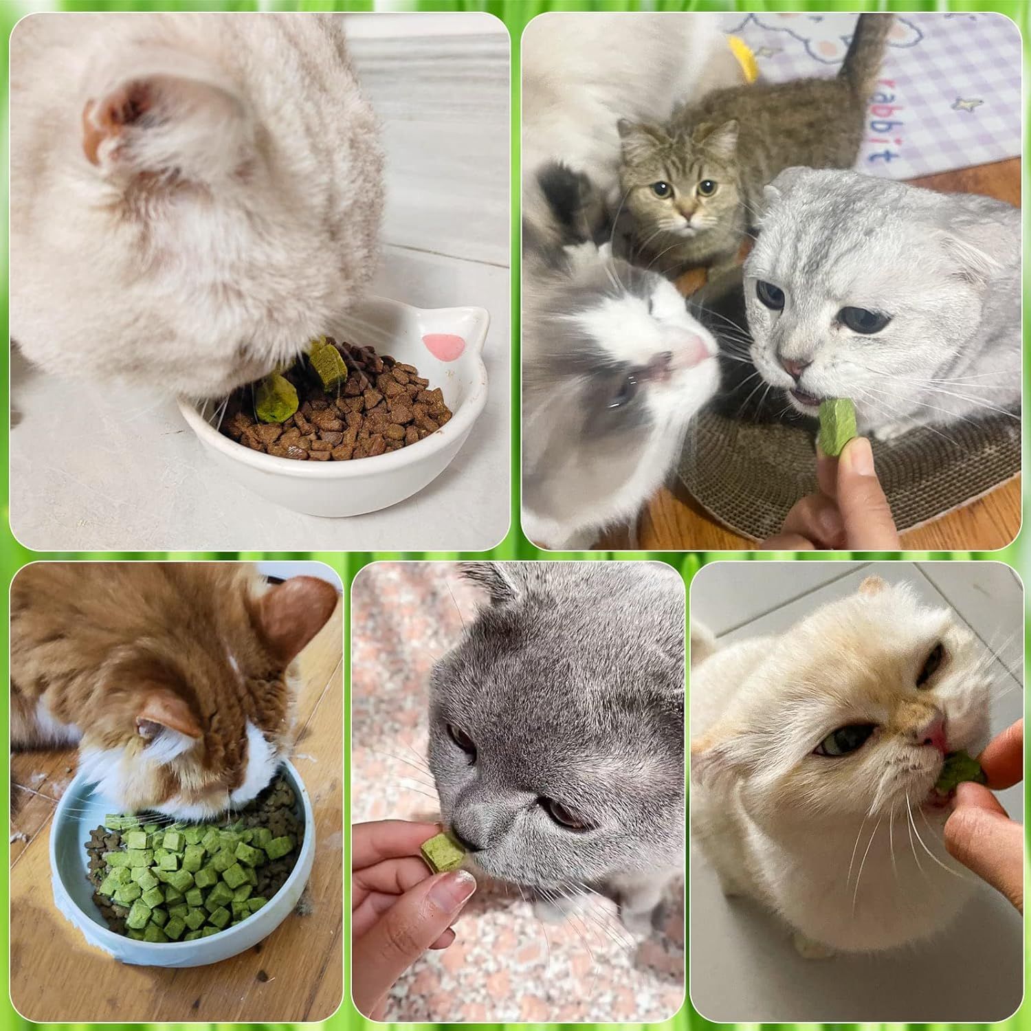 HavenJanny 60g Cat Grass Treats for Cat, Freezed Drying Cat Grass Teething Stick Snacks for Cats, Edible Cat Chew Toys for Teeth Cleaning and Hairball Removal