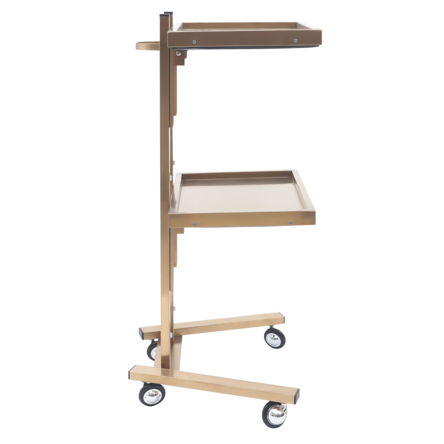 2-Tier Metal Salon Rolling Cart with Wheels, Foldable Stainless Steel Rolling Storage Cart Trolley Tray Utility Esthetician Cart for Beauty Spa Home Kitchen