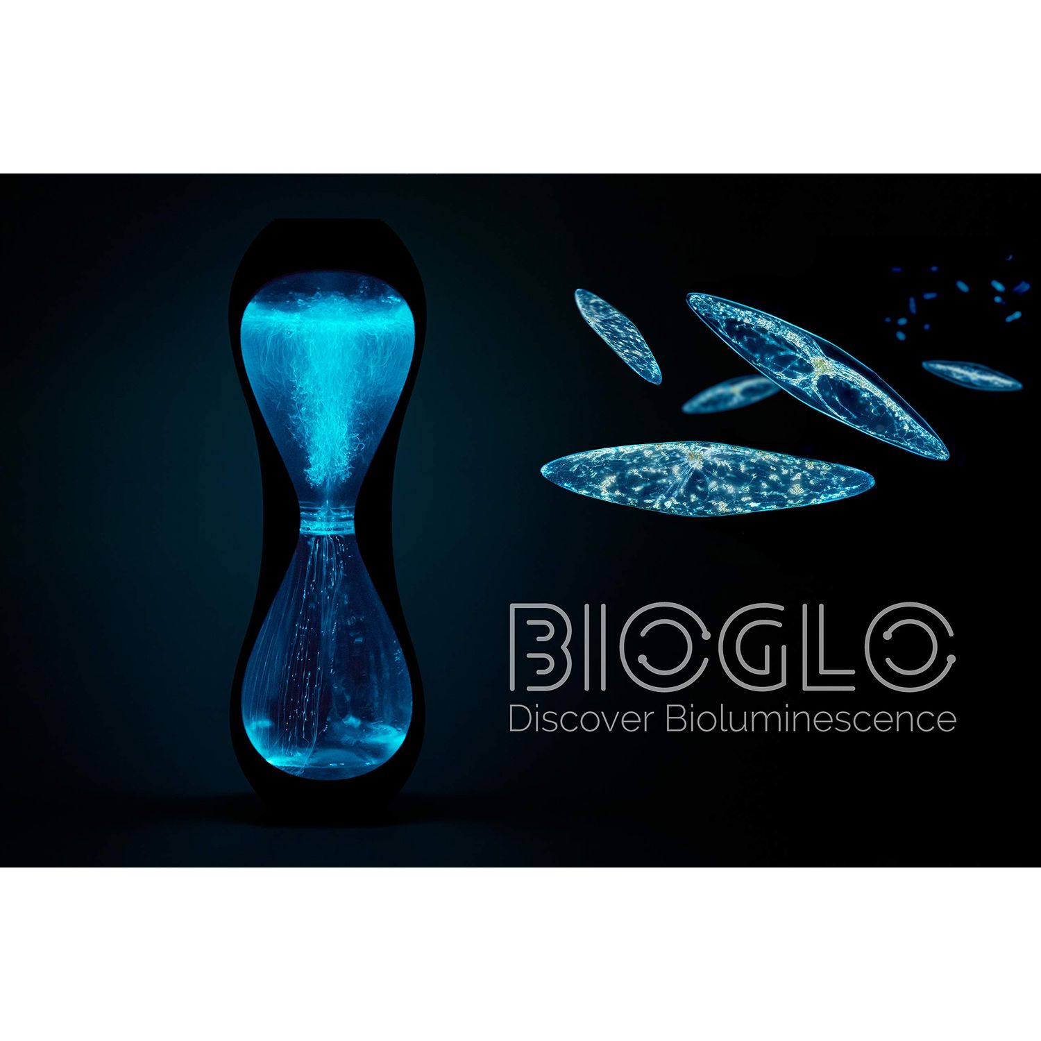 Magical Microbes BioGlo: Bioluminescent Aquarium