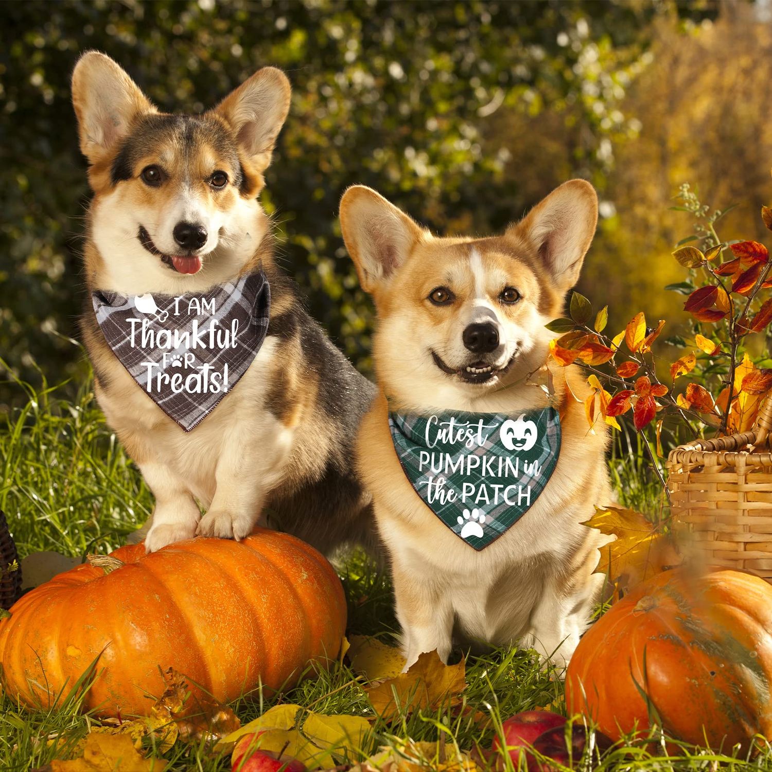 3 Pack Thanksgivng Dog Bandana, Fall Classic Plaid Halloween Christmas Xmas Holiday Dog Bandanas Scarf Triangle Bibs Kerchief Gift Set Pet Accessories Decoration for Small Medium Large Dogs Cats Pets
