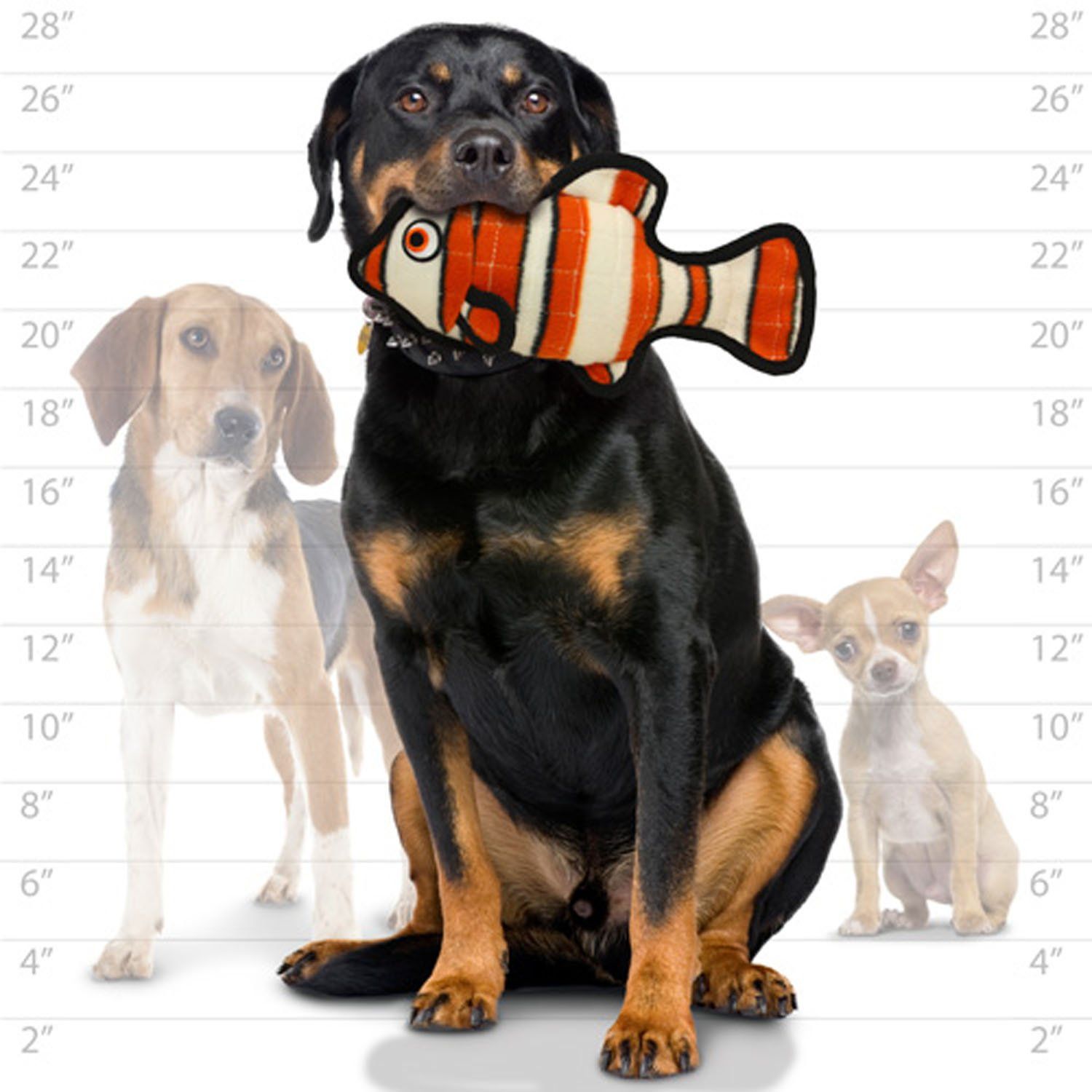 TUFFY - World's Tuffest Soft Dog Toy - Ocean Fish Orange- Squeakers - Multiple Layers. Made Durable, Strong & Tough. Interactive Play (Tug, Toss & Fetch).Machine Washable & Floats