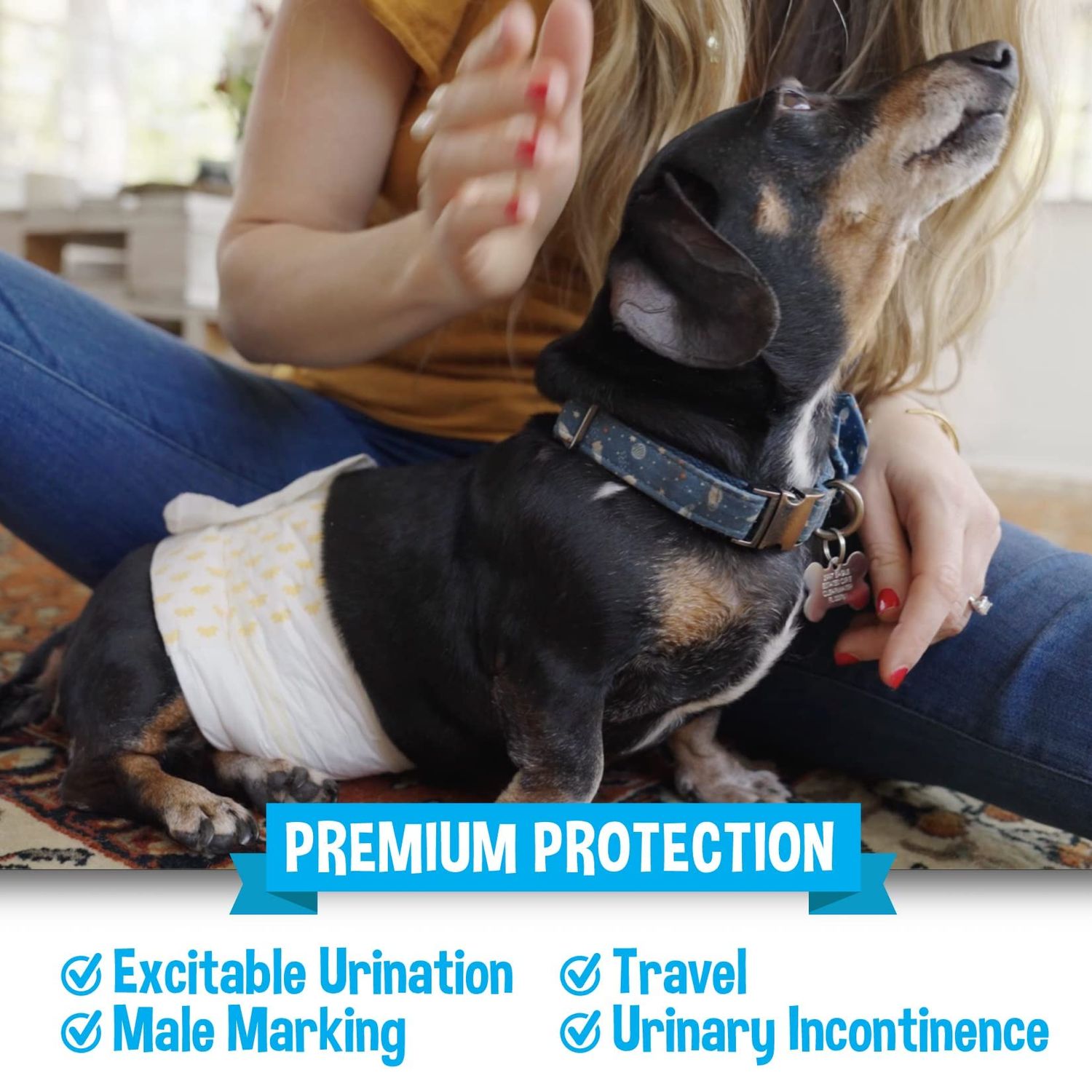Bodhi Dog Disposable Male Dog Diapers | Super Absorbent Leak-Proof Fit | Premium Adjustable Male Dog Pee Wraps with Moisture Control & Wetness Indicator | 20 Count Medium Size