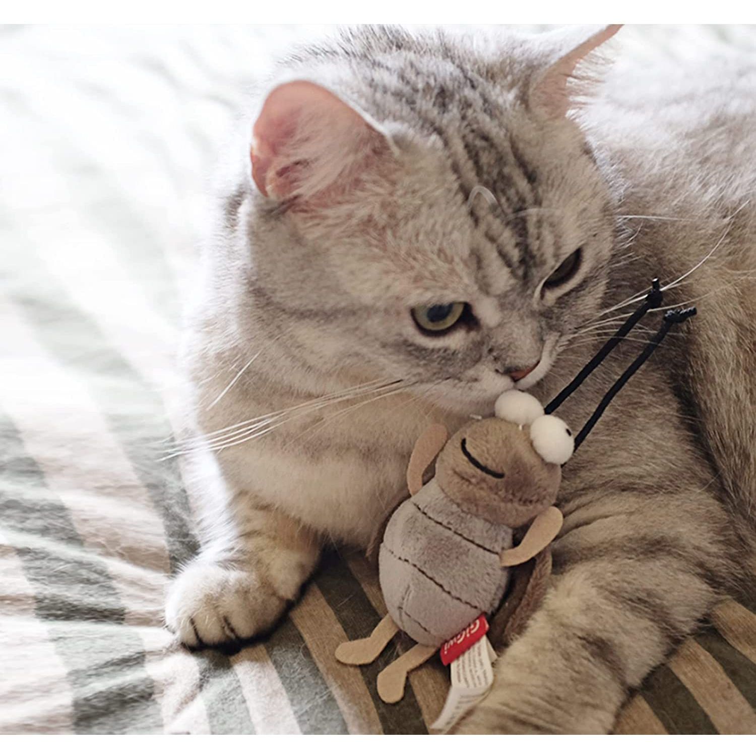 Gigwi Interactive Cricket Cat Toy, Automatic Cricket Squeaky Cat Toys, Play and Squeak Electronic Cricket Toy for Cats Kitten Indoor