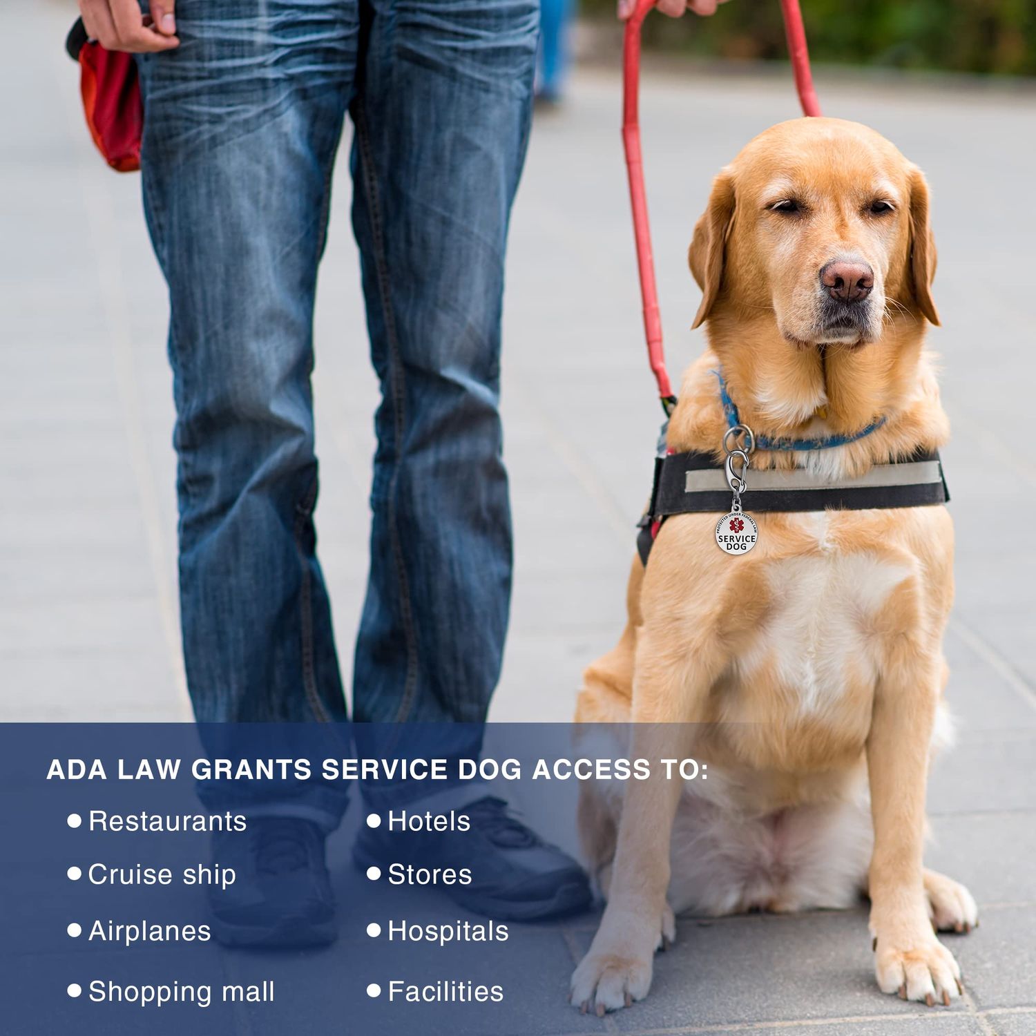 Leash King ESA Dog Tag Double Sided Federal Protection with Red Medical Alert Symbol Pet ID Tags 1.25 inch. Easily attach to Collar Harness Vest Dog Service Tag with 1.3" Solid Quick Clip – Polished