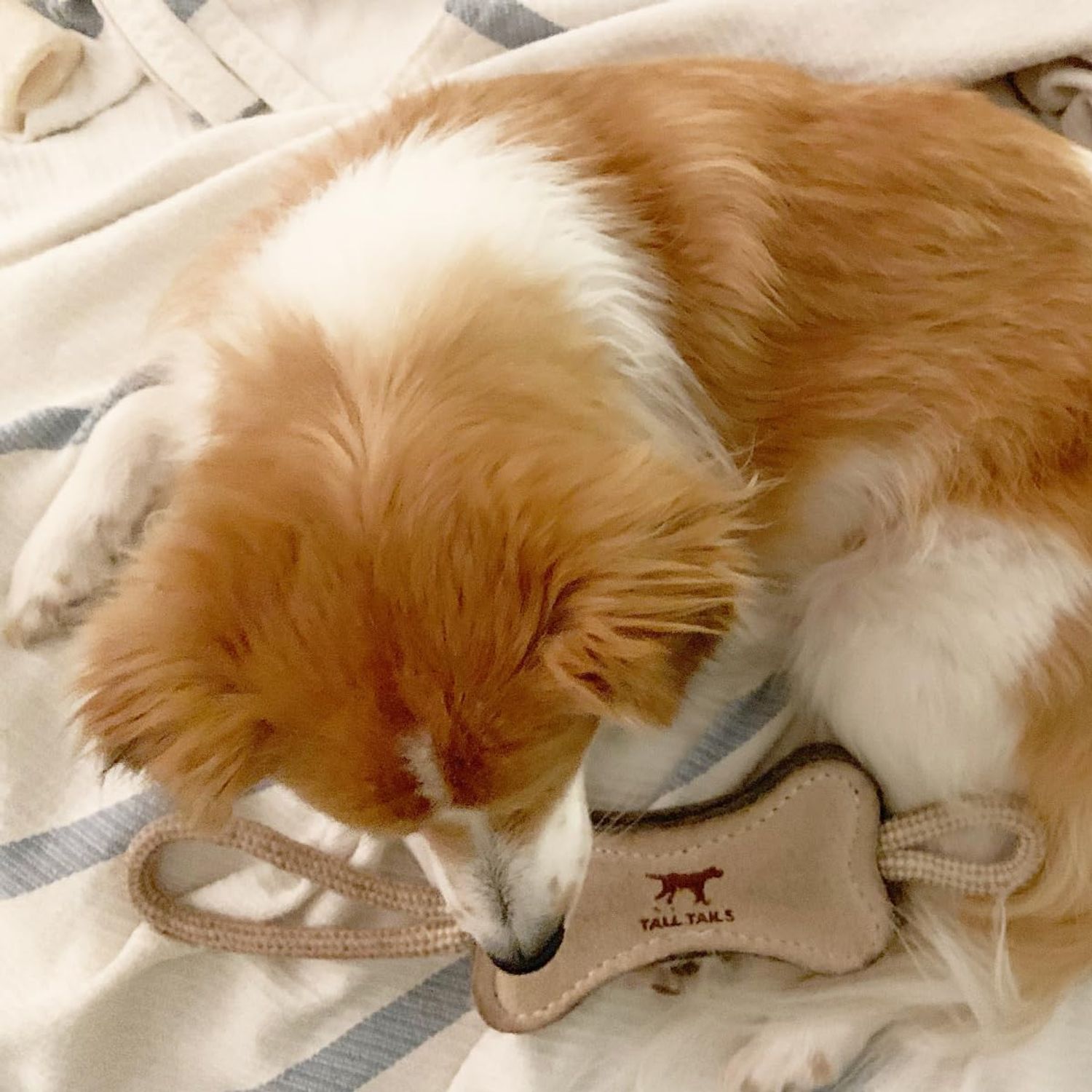 Tatll Tails Natural Leather Boot Tug Toy for Dogs