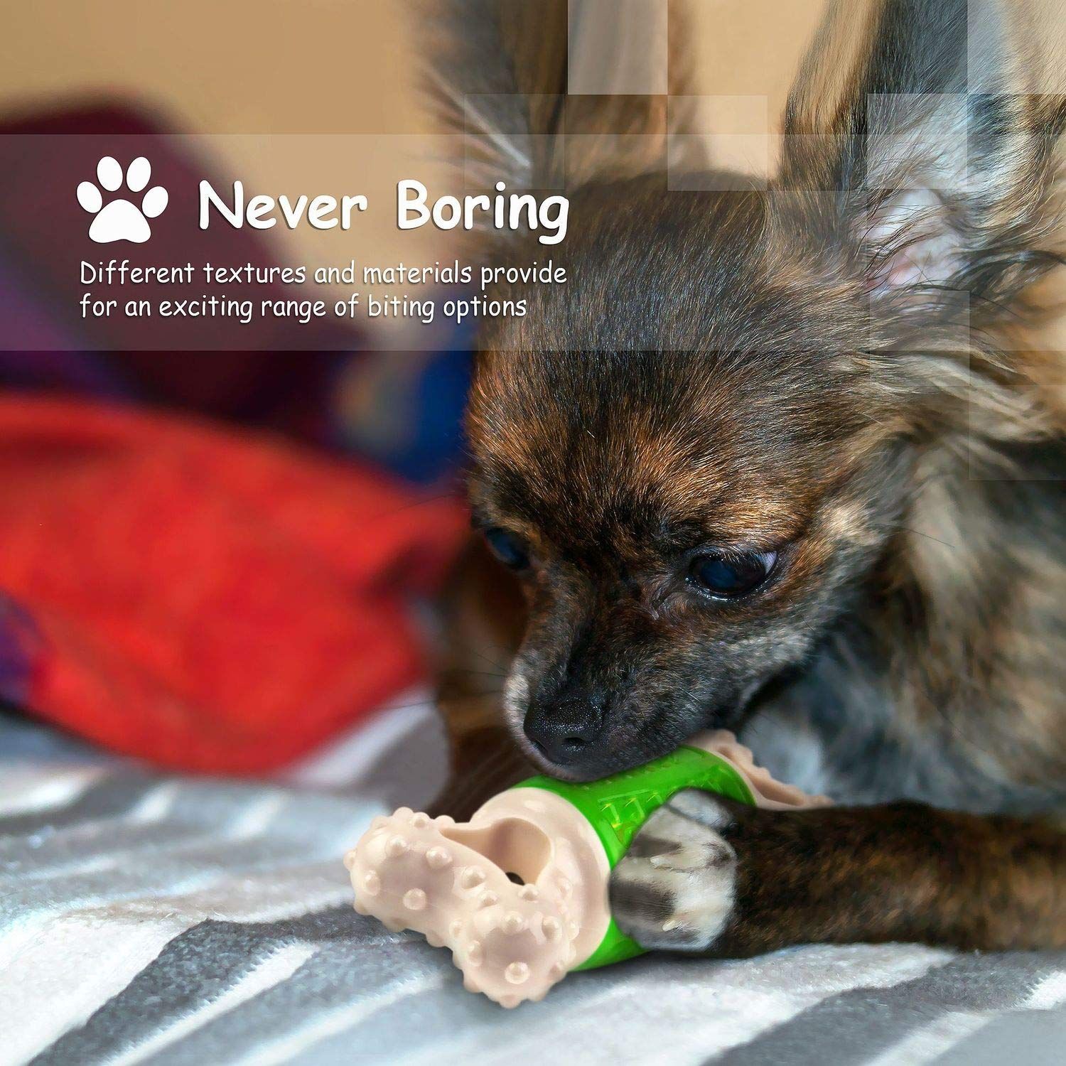 Fluffy Paws Squeaky Rubber Dog Toy - Durable Squeaky Bone-Shaped Puppy Toy, Rubber Dental Chew Toy for Small and Medium Dog Puppy - 5.6"