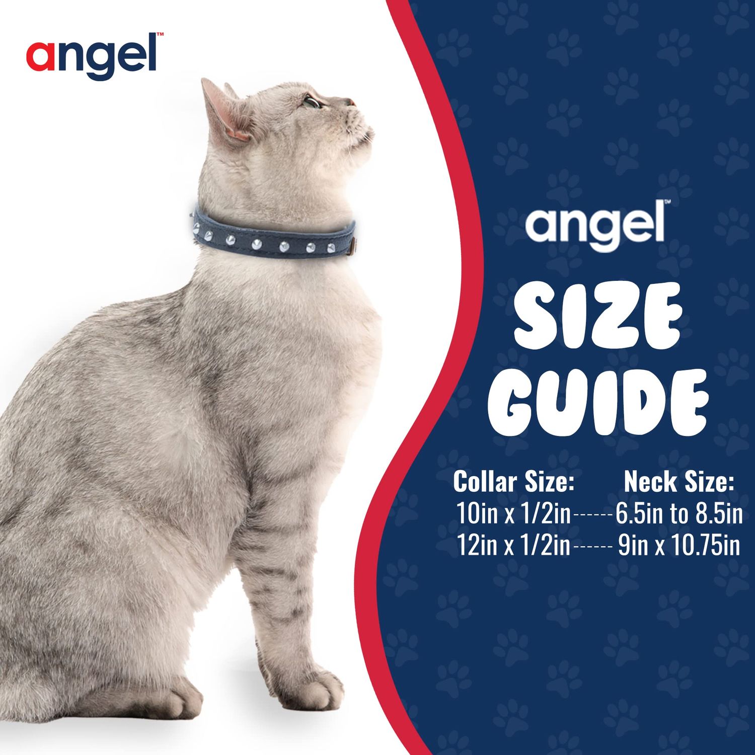 Studded Cat Collar, Genuine Leather Kitten Collar, Sturdy Breakaway Cat Collar, Water-Resistant Cat Collar with Bell & Elastic Stretch, Midnight Black, 10 x 1/2 inches - Angel Pet Supplies