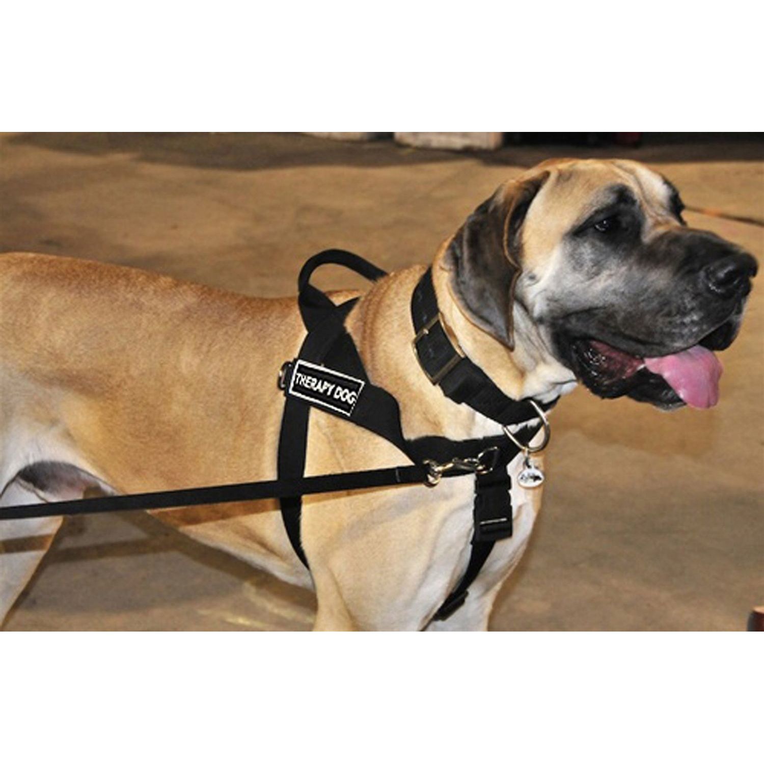 DT Universal No Pull Dog Harness, Therapy Dog, Black, Small, Fits Girth Size: 24-Inch to 27-Inch