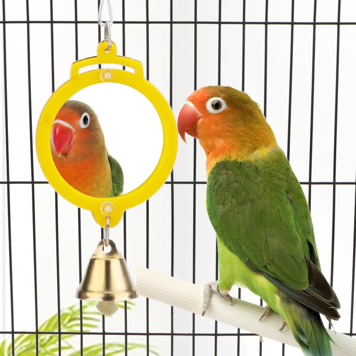 Hypeety Pet Bird Mirror with Bell Interactive Treat Puzzle Parrot Toy Bird Cage Mirror Small Bird Swing Chew Toys Fun Cage Accessories (Color Random) (Round Shape)