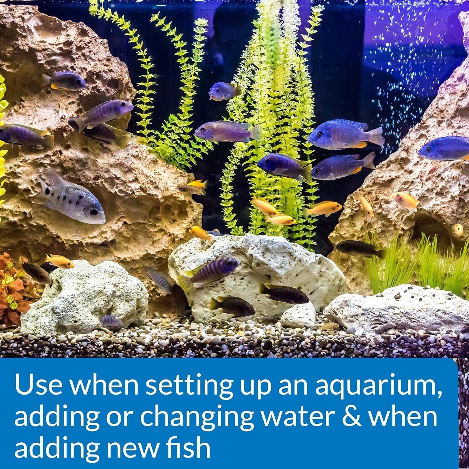API STRESS COAT Aquarium Water Conditioner 32oz Treatment Makes Tap Water Safe