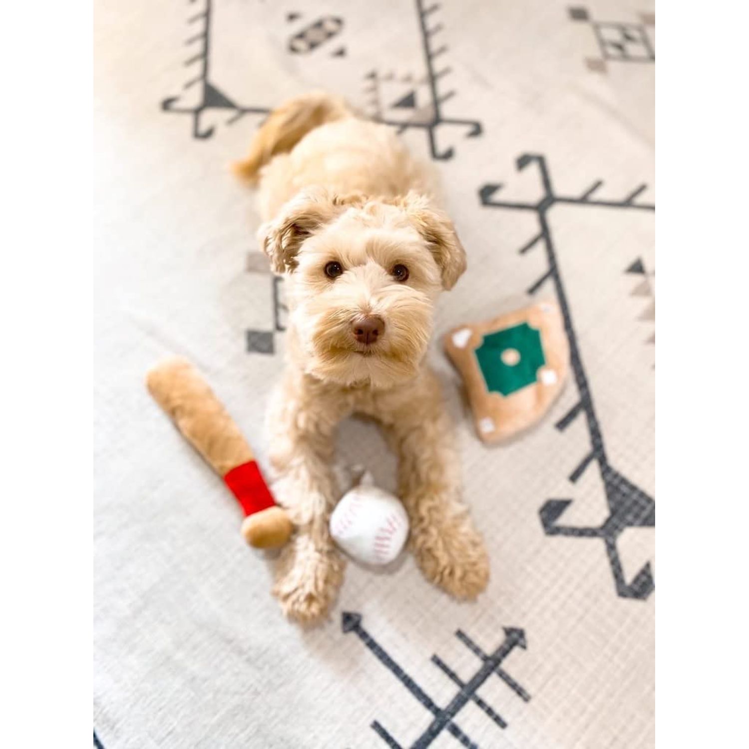 TONBO Cute Plush Dog Toys (Ball Park Combo)