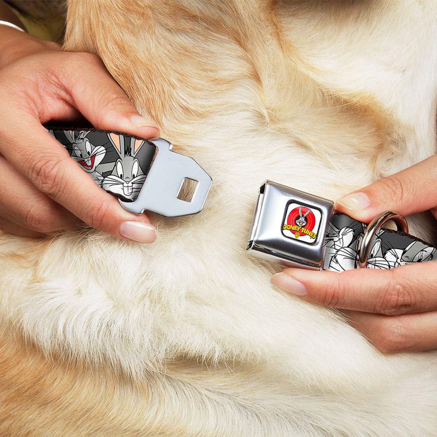 Buckle-Down Seatbelt Buckle Dog Collar - Bugs Bunny CLOSE-UP Expressions Black - 1" Wide - Fits 11-17" Neck - Medium