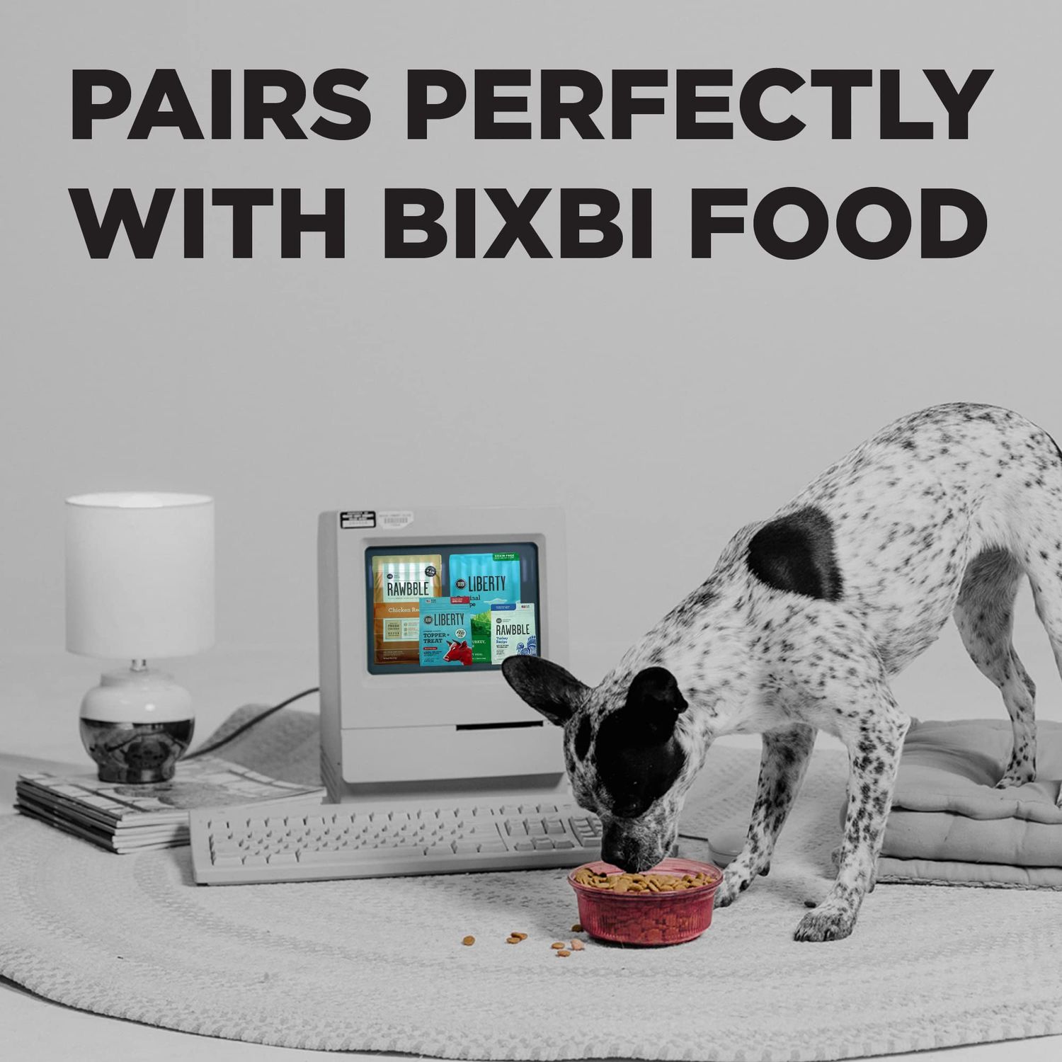BIXBI Pocket Trainers, Peanut Butter (6 oz, 1 Pouch) - Small Training Treats for Dogs - Low Calorie and Grain Free Dog Treats, Flavorful Pocket Size Healthy and All Natural Dog Treats