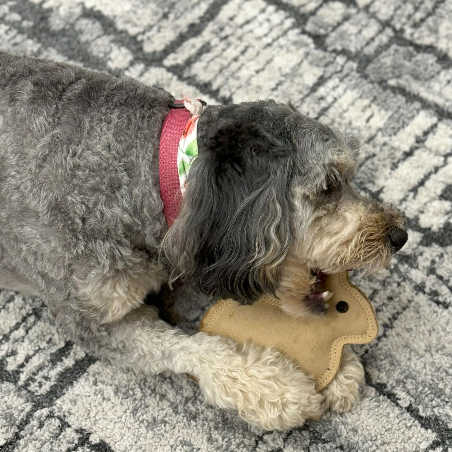 SPOT Dura-Fused Leather Rabbit - Durable Dog Toy with Squeaker, Real Leather & Jute Fabric, Interactive Toy for Moderate & Aggressive Chewers, Small and Medium Dogs and Puppies, 7.5in