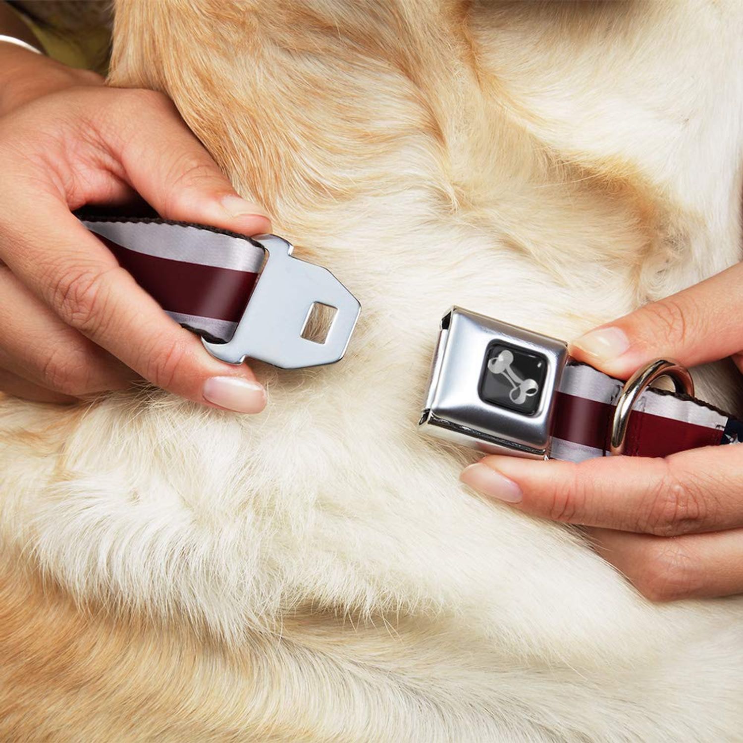 Buckle-Down Seatbelt Buckle Dog Collar - American Flag Vivid CLOSE-UP - 1.5" Wide - Fits 18-32" Neck - Large