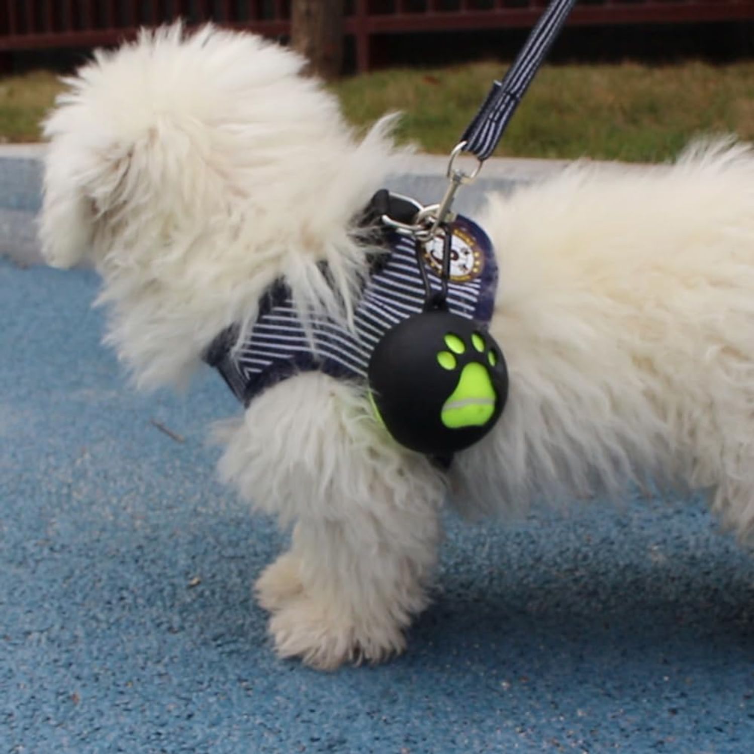 Dog Accessory Ball Holder - Leash Attachment, Lightweight Silicone for Convenient and Fun Playtime (Black)