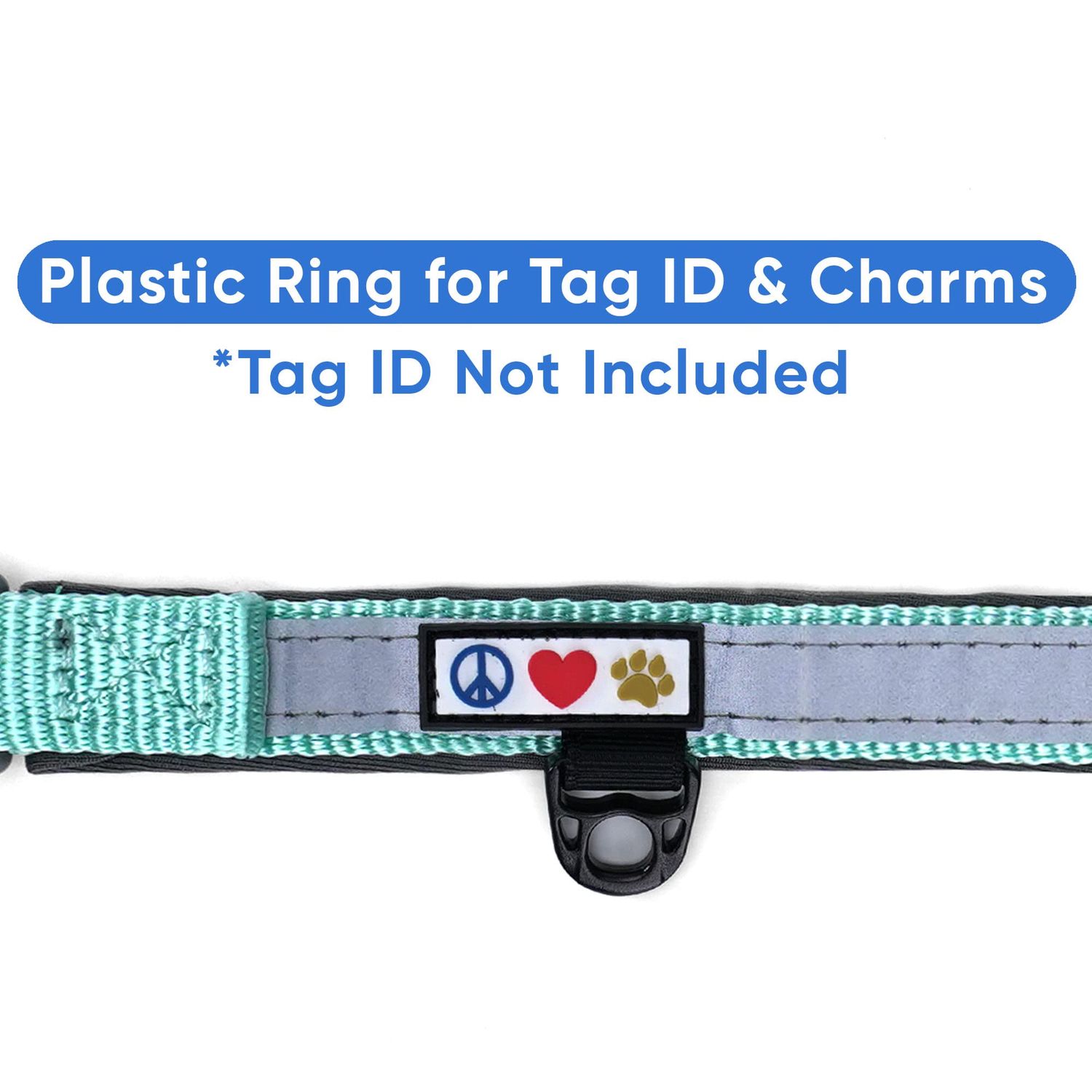 Pawtitas Lumberjack Padded Martingale Collar for Dogs | Soft Neoprene Dog Collar for Your pet's Comfort Made with Reflective Band for Maximum Visibility | Fits Small and Large Pets - Small Teal