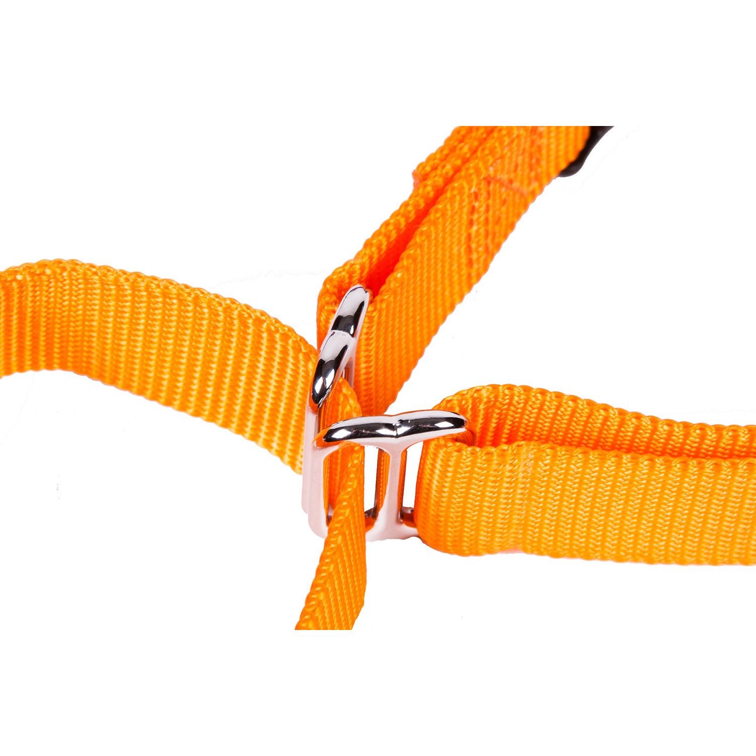 GoGo Pet Products GoGo 3/4-Inch Martingale Dog Collar, Medium, Orange