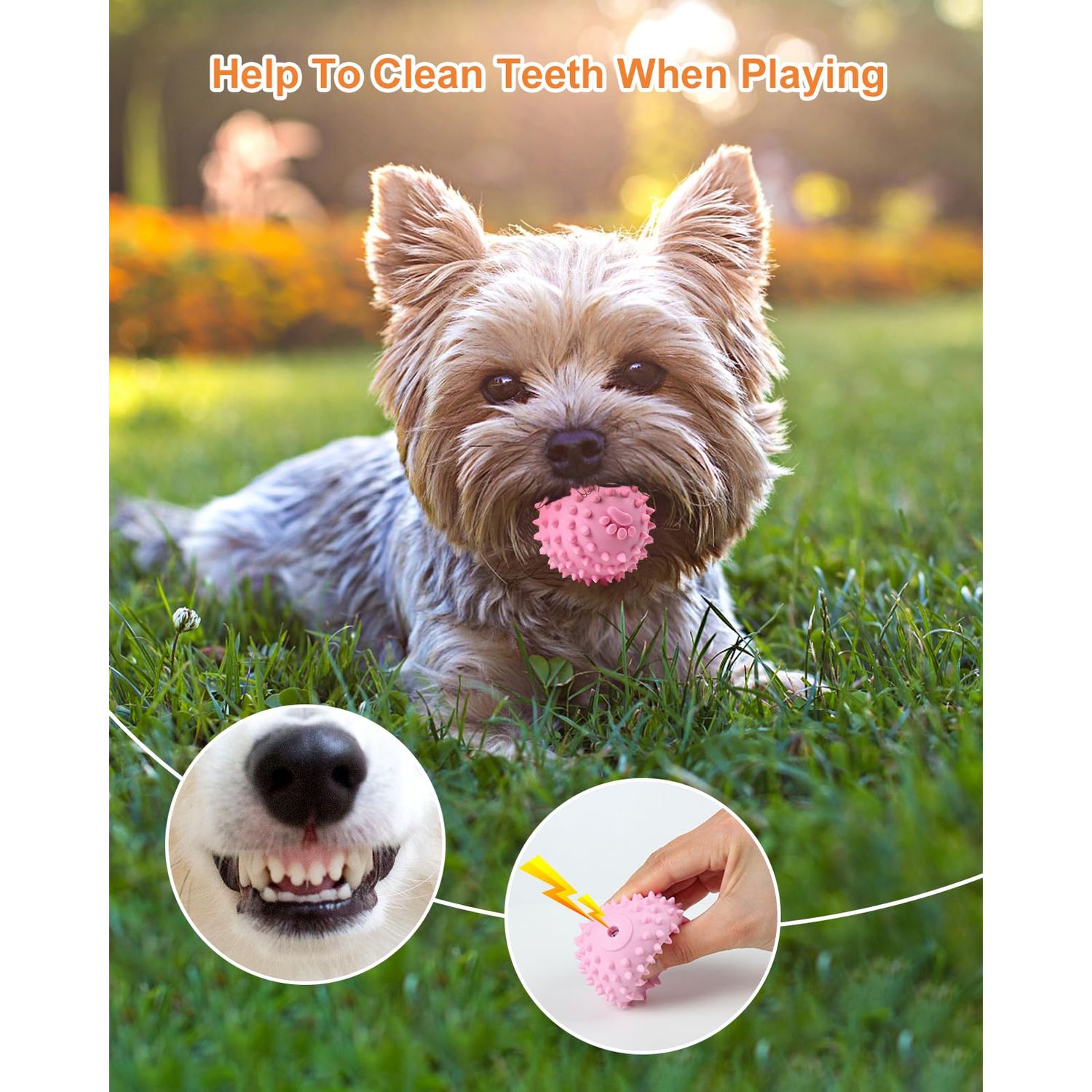 Bestdoggo Puppy Ball Small Dog Toys - 2 PCS Squeaky Dog Toys, Blue Giggle Ball Dog Toy for Puppies, Pink Puppy Teething Chew Toys, Interactive Dog Toys for Small Dog, Small Dog Fetch Ball for Boredom