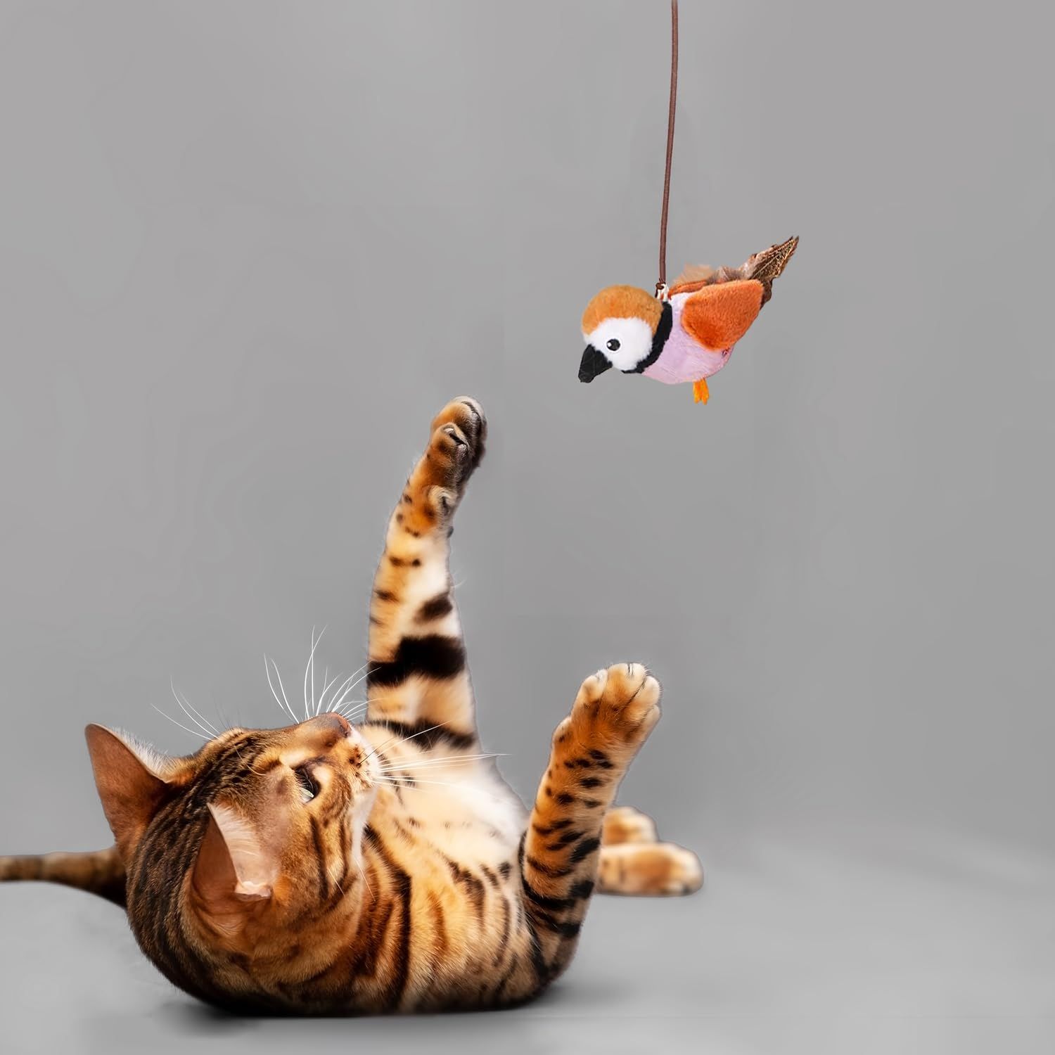 PETFUTURE Cat Toys for Indoor Cats,Interactive Chirping Bird Cat Toys with Catnip and Feather, Kitten Toys, DIY Cat Wand Toys Hanging from Door Cat Tree Cat Tower Toy for Indoor Cats