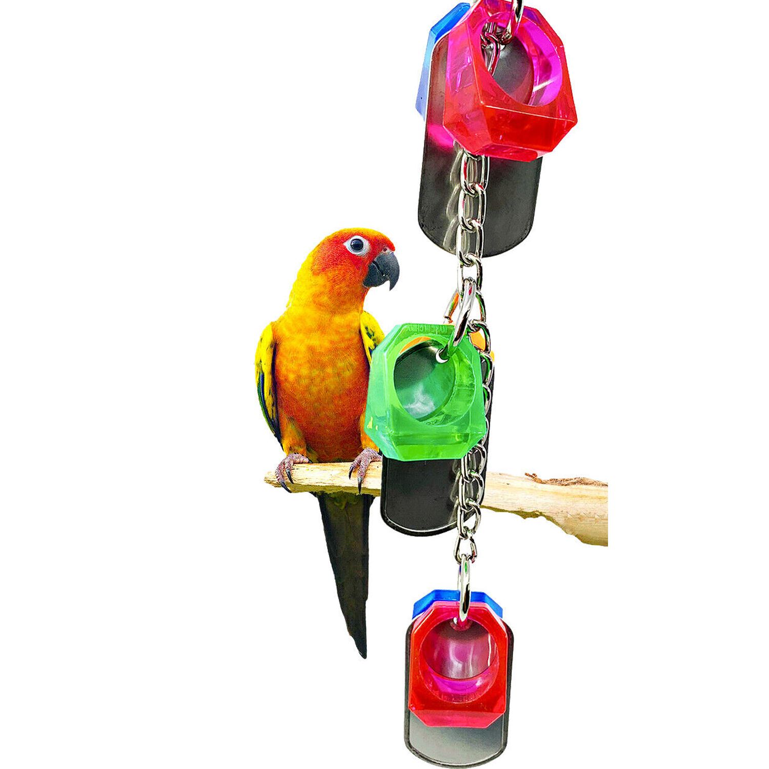 2116 Chip Delight Bonka Bird Toy parrot cage toys cages parakeet cockatiel pet