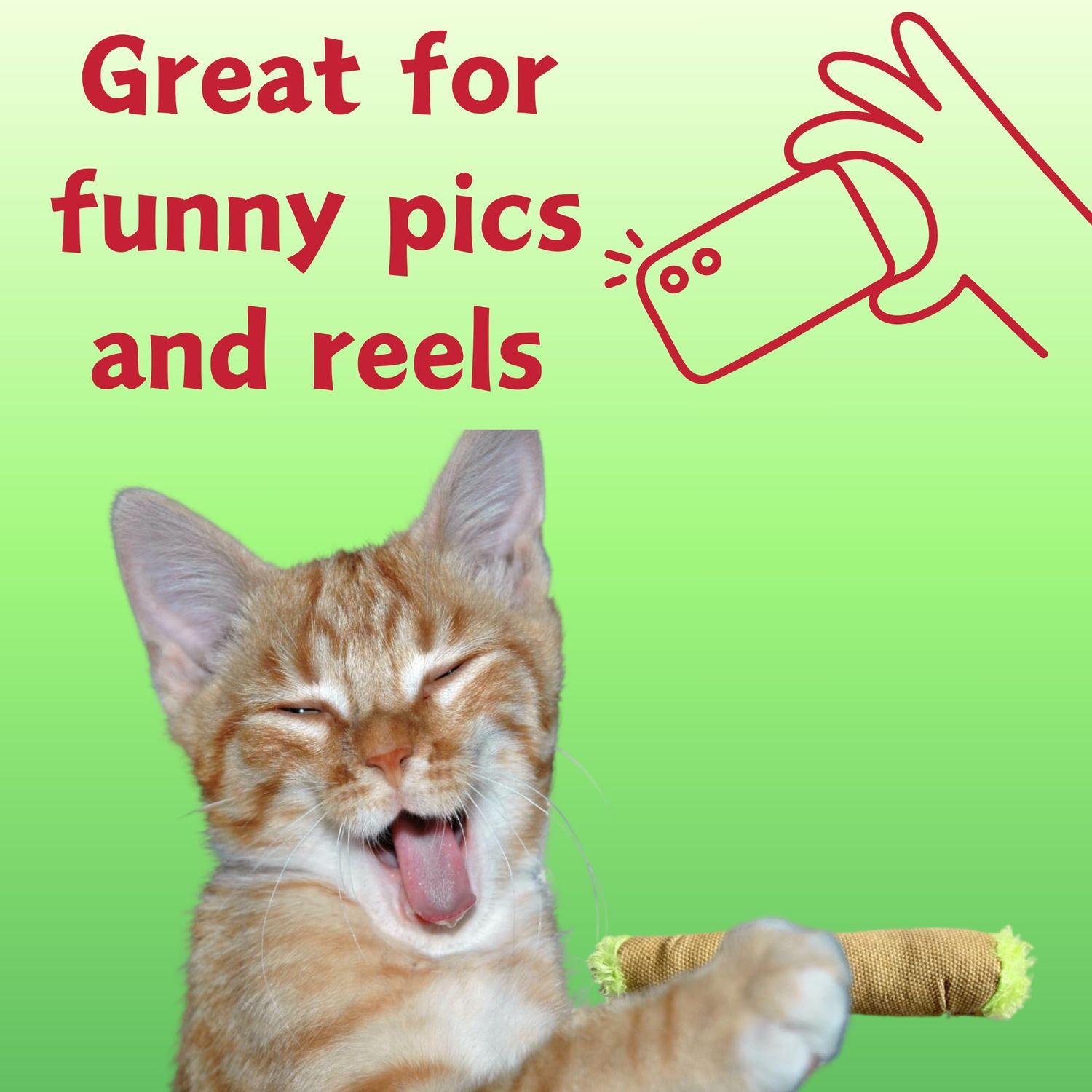 PAW:20 Lil' B The Blunt | Funny Cat Toy | Cool Plush Catnip Toy | Fun Novelty Gift | Play and Funny Photos