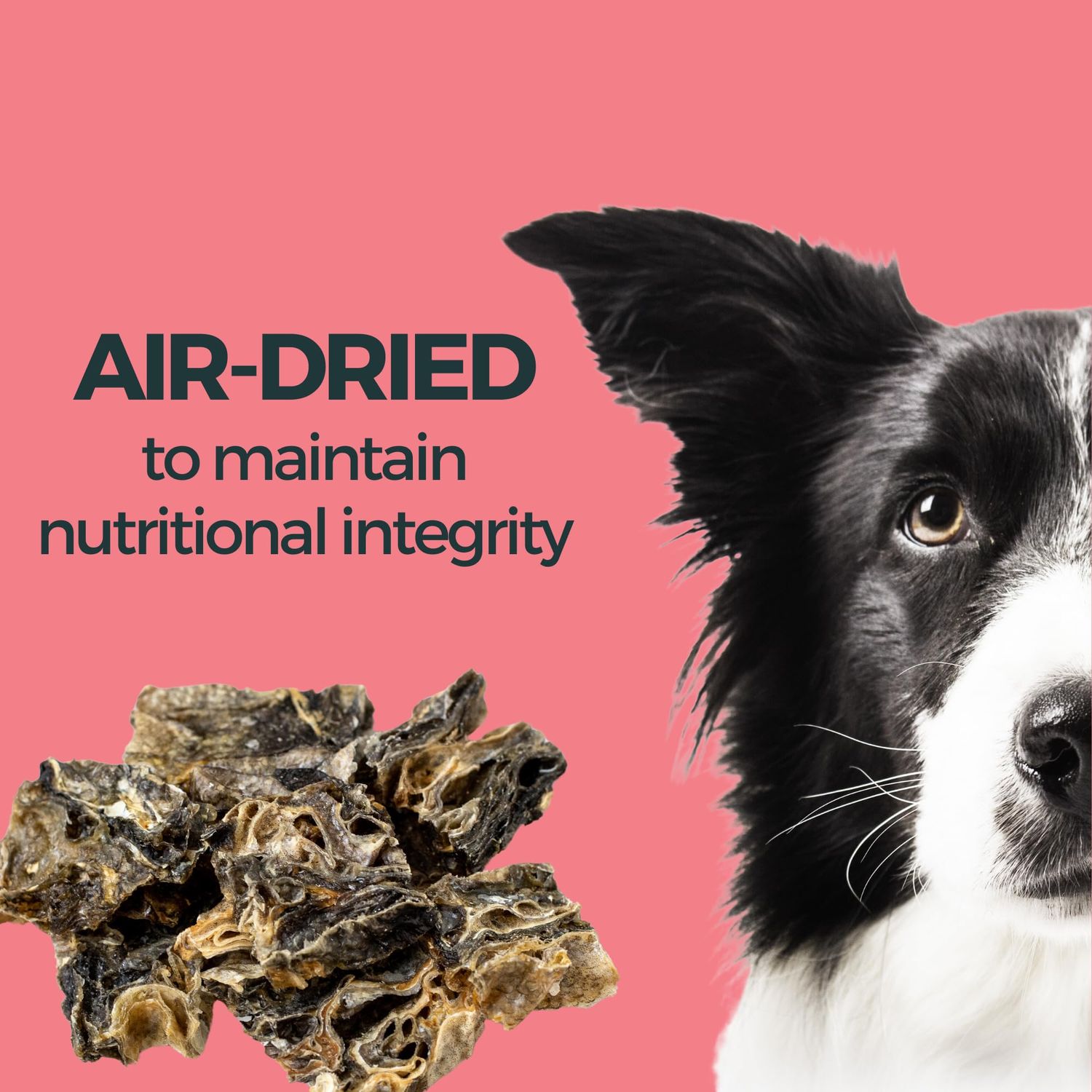KOHA Cod Skins Single Ingredient Dog Treats, Air Dried Natural Fish Dog Treats, 2.5 oz