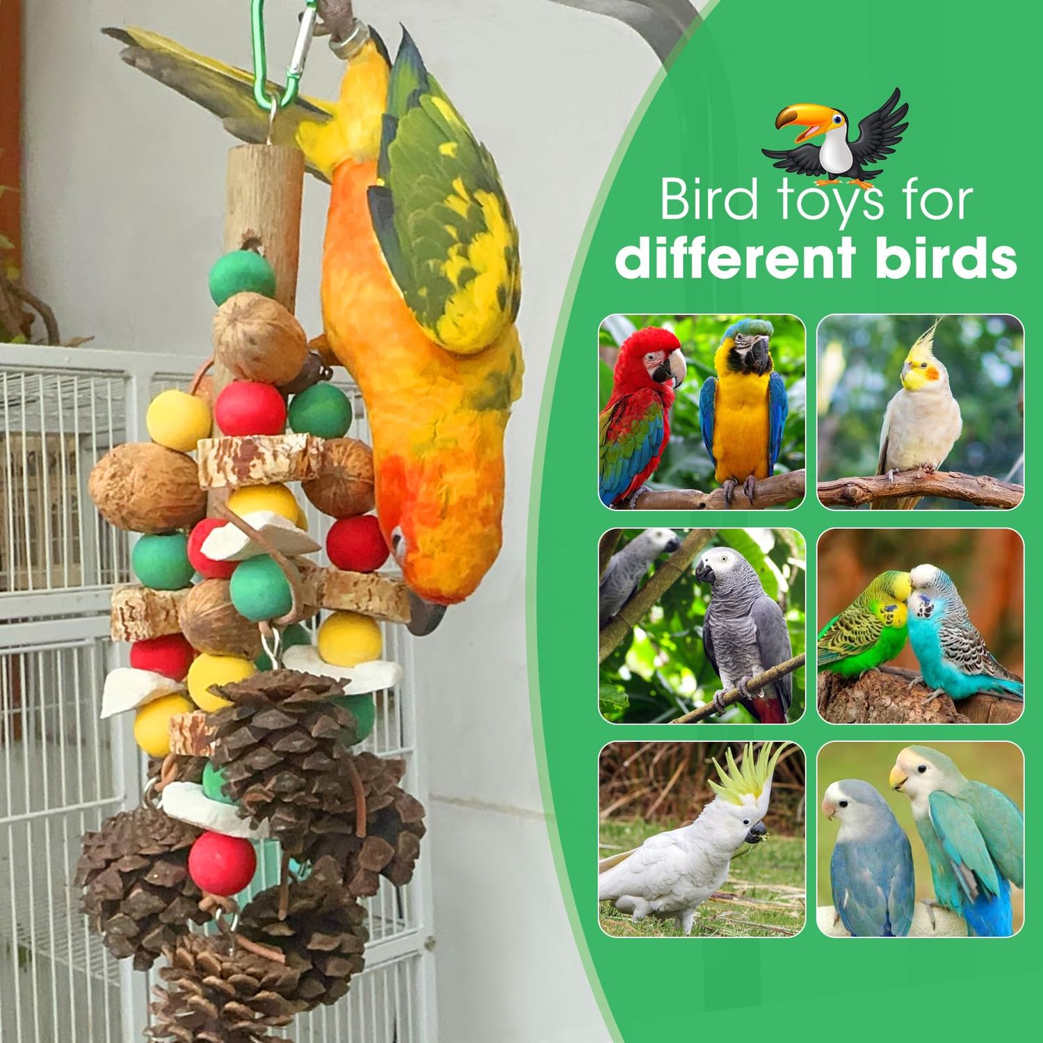 MQUPIN Parrot Toys,Nuts Nutrient-Rich Bird Toys,Natural Wooden Parrot Cage Bite Toy,Cockatoo Toys Containing Cuttlefish Bones,Pine Cones,Wooden Mangoes and Carambola for African Greys,Cockatoo,Budgie