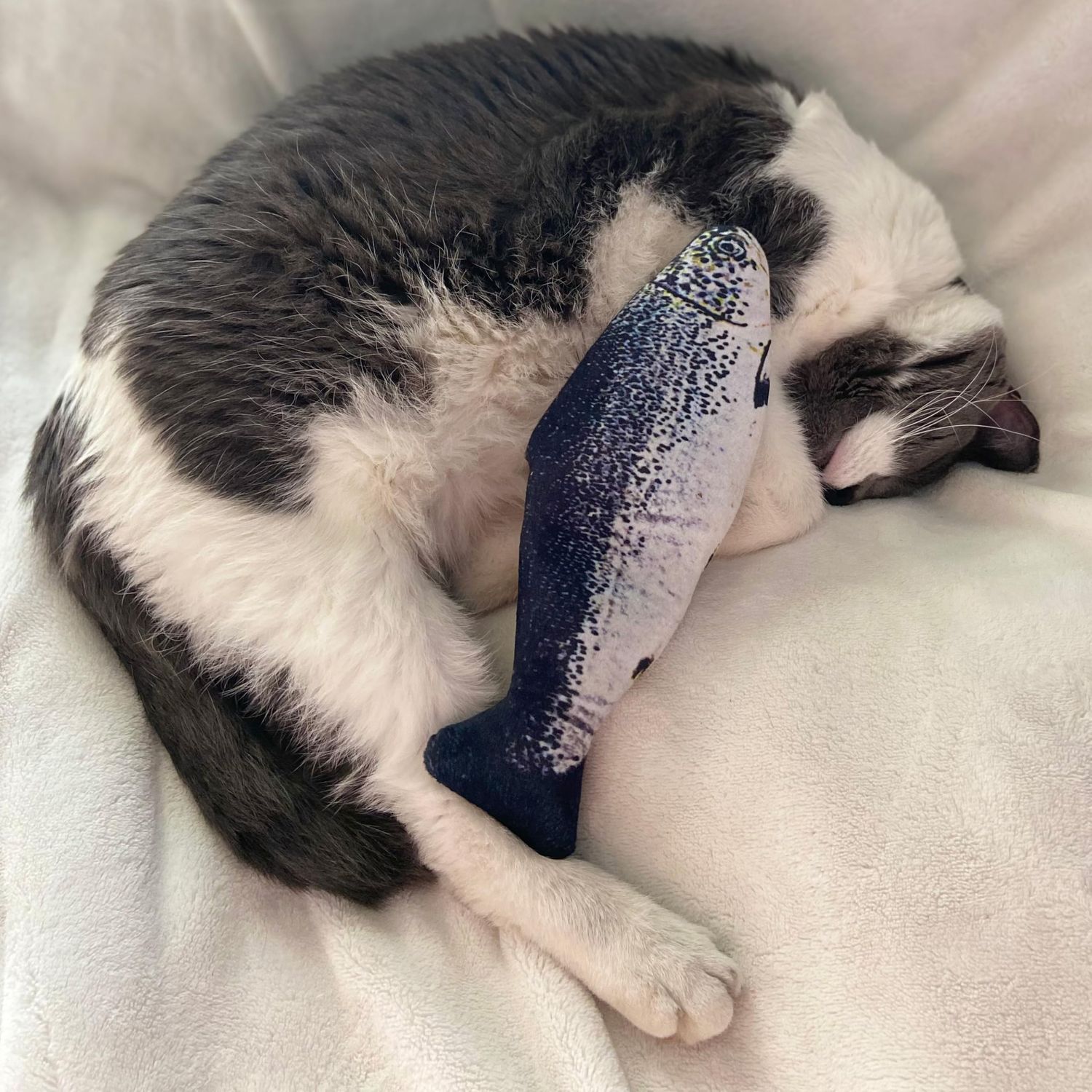 SPOT Flippin' Fish Interactive Cat Toy with Catnip for Indoor Cats & Kittens - Touch Activated, Flipping Tail, Rechargeable with USB, Hours of Fun - 11.5 inch