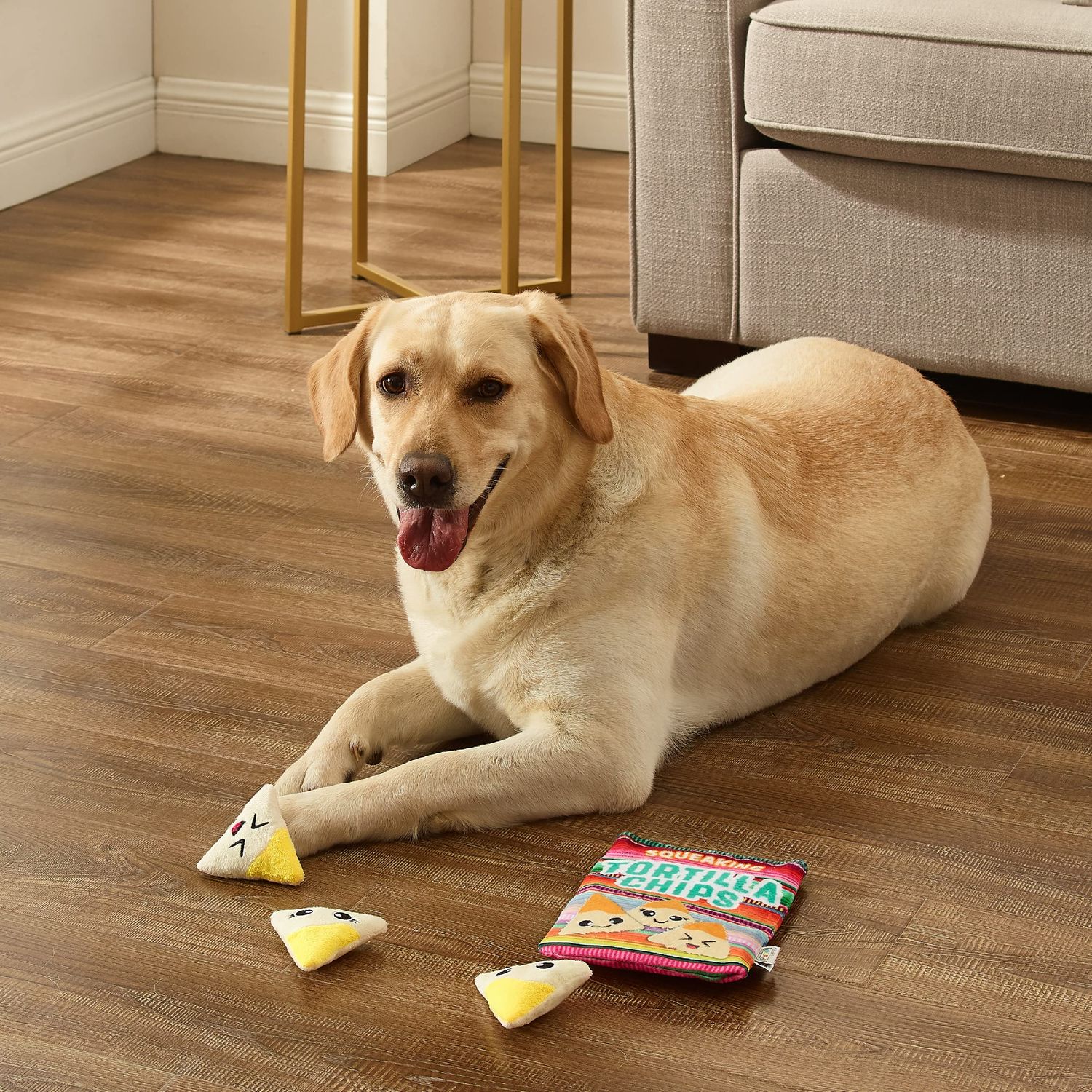 Outward Hound Snack Bag Tortilla Chips Puzzle Squeaky Dog Toys