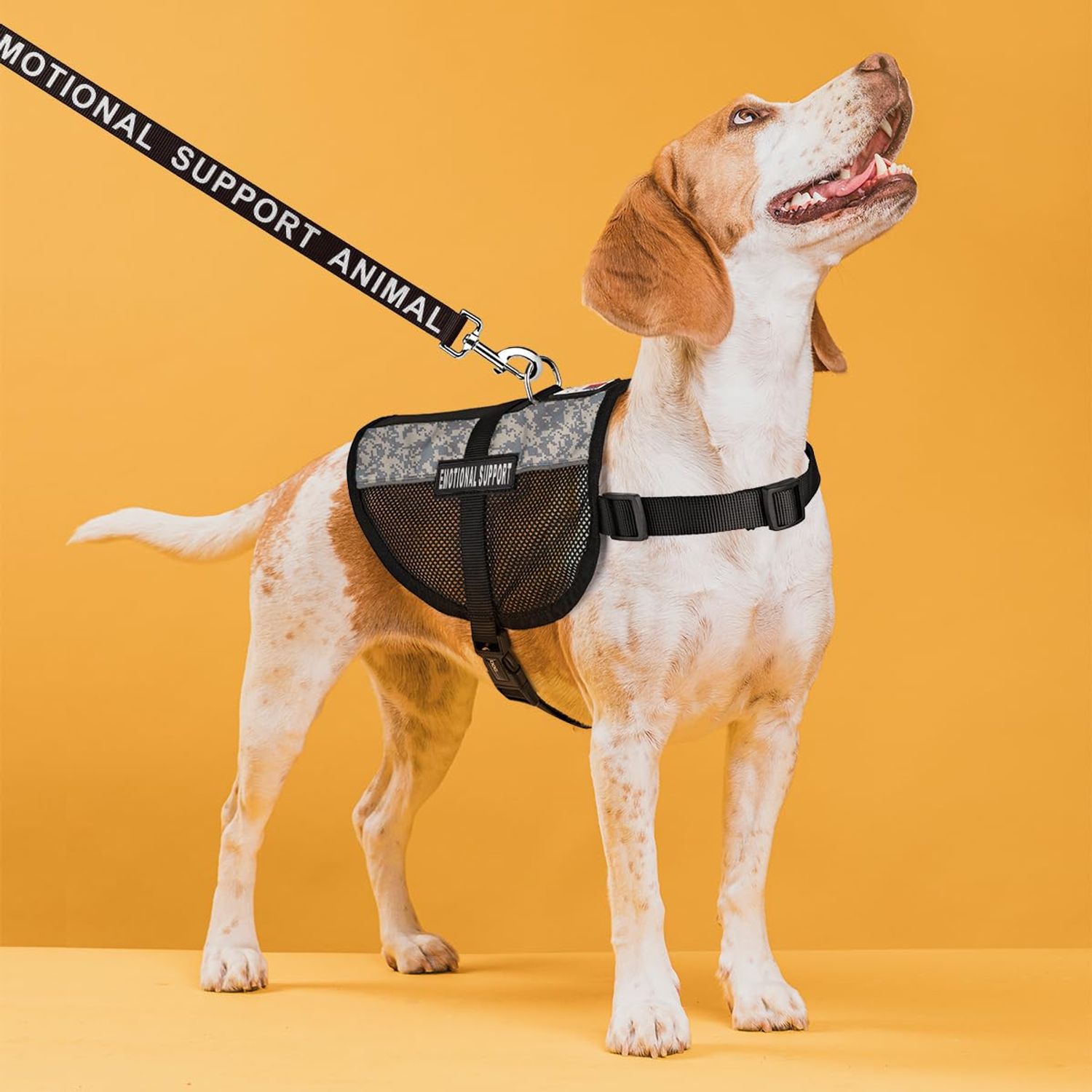 Dogline Emotional Support Dog Vest Bundle with Adjustable Service Dog Vest Harness, Reflective Emotional Support and ESA Patches, Emotional Support Leash, Emotional Support Animal ID Card
