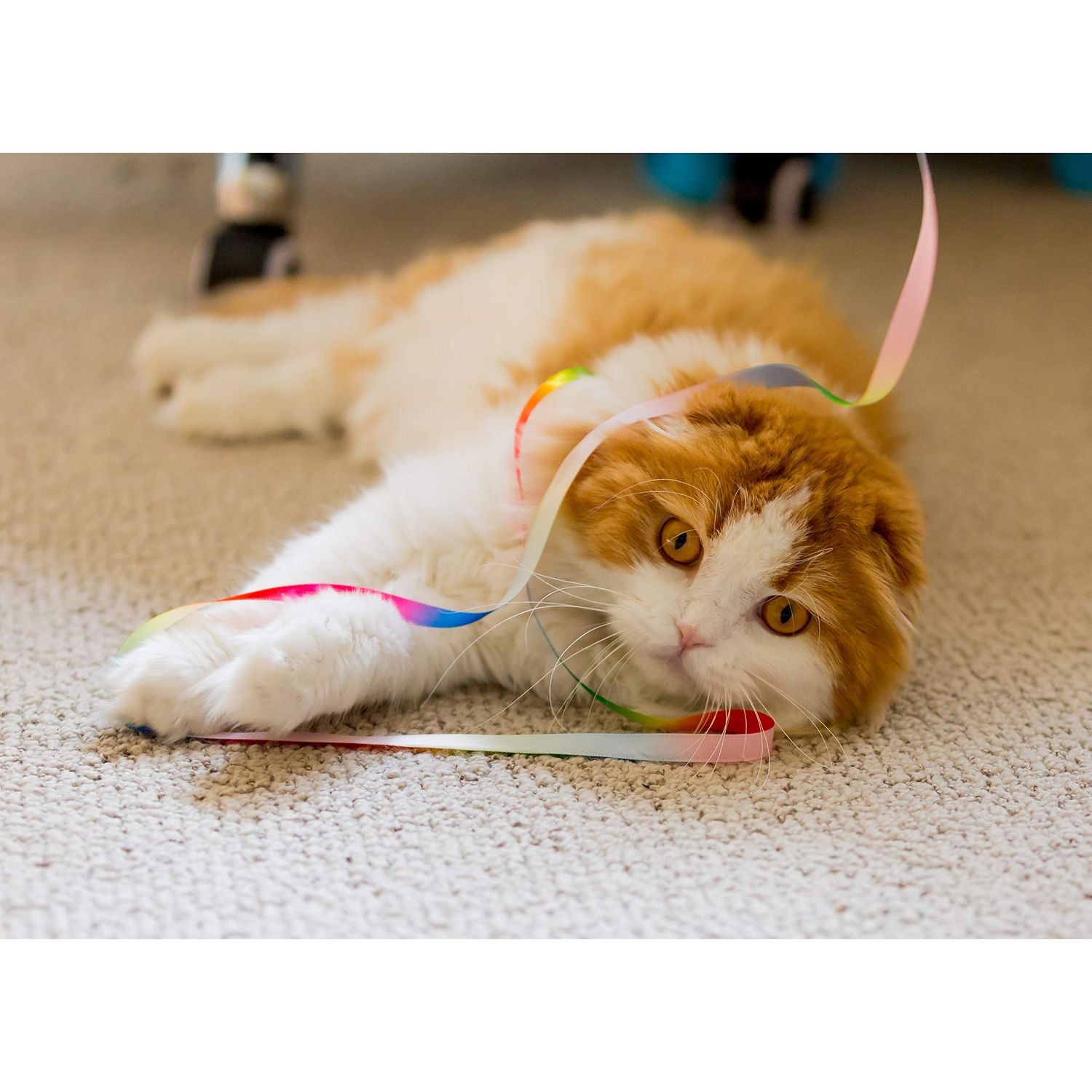 Youngever 15 Cat Toys Kitten Toys Assortments, Cat Crinkle Play Mat, Cat Teaser Wand Interactive Toys Cat Springs, Crinkle Balls for Cat, Puppy, Kitty, Kitten