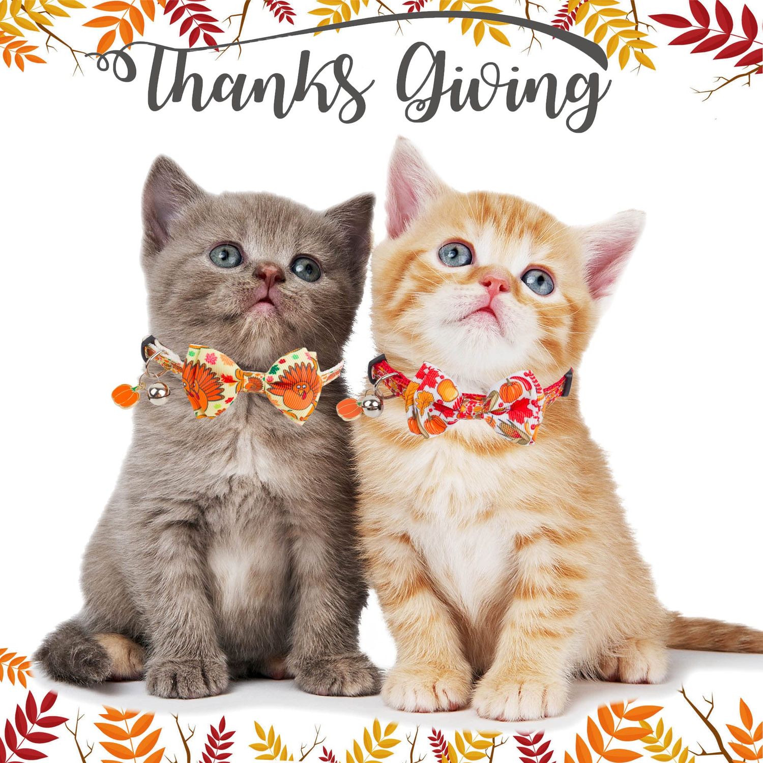 ADOGGYGO Thanksgiving Cat Collars with Bow Bell, Breakaway cat Collar with Bowtie Pumpkin Cat Kitten Collar for Girl Boy Cats Kittens (Thanksgiving)