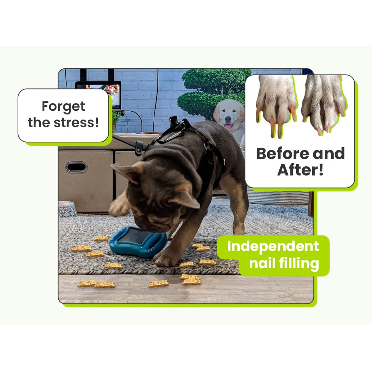 De' Vora Scratch Square - Dog Nail Scratch Board Treat Box | 5 in 1 Dog Scratch Pad for Nails | Dog Nail Scratch Board with Treat Box | Scratch Pad for Dogs Nail File | Dog Scratch Board for Nails S/M
