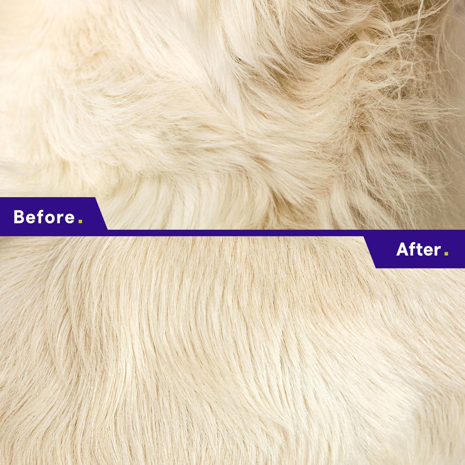 Dematting Comb for Dogs & Cats - Pet Grooming Rake for Removing Matted Hair from Under Coat, Shedding Control Tool - Non-Scratch Detangler & Undercoat Fur Remover - Ebook Guide