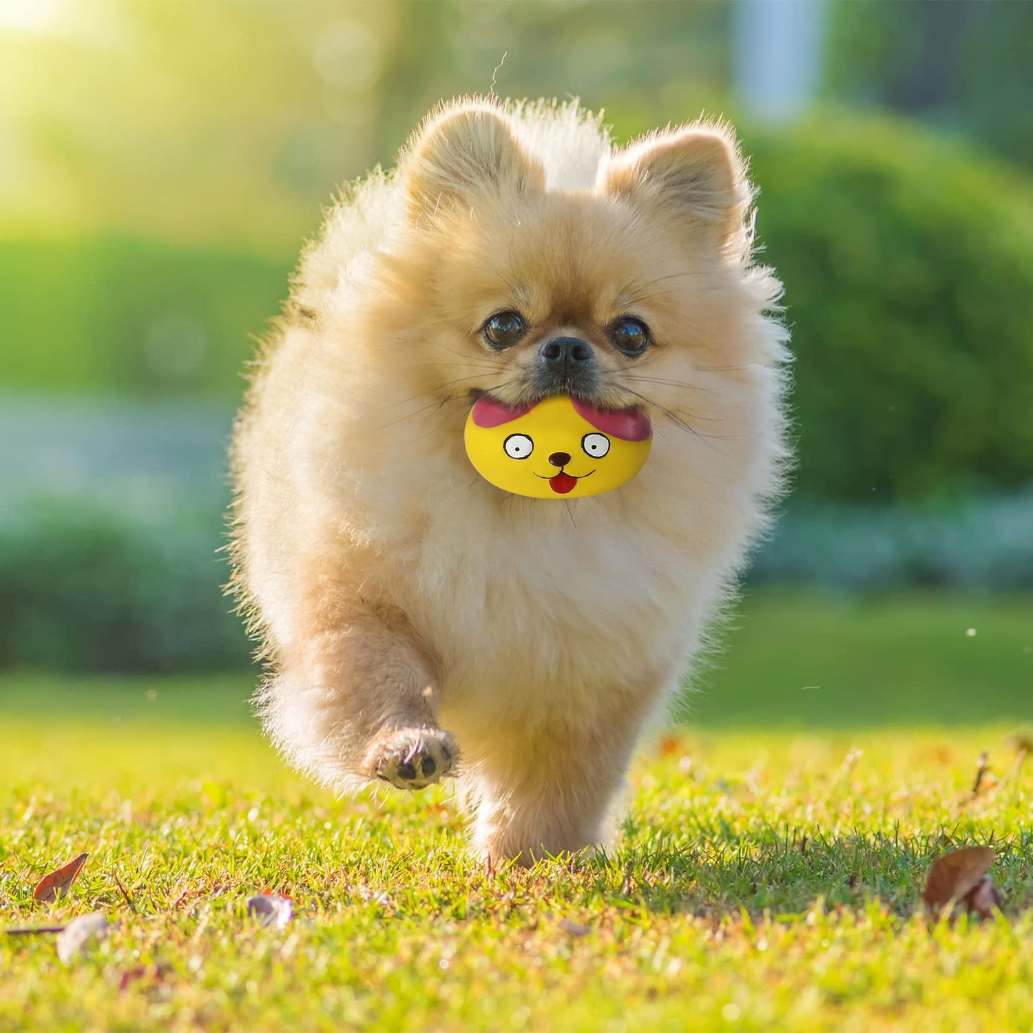 HDSX Squeaky Dog Toys Funny Animal Dog Balls for Puppy Mini Small Pet Dogs 6 Pcs/Set (Cat)